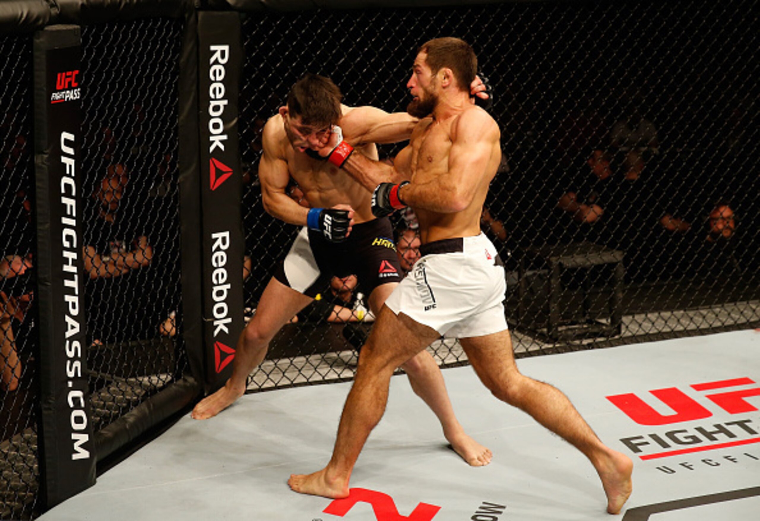 Mairbek Taisumov (right) knocked out Damir Hadzovic with a right uppercut.