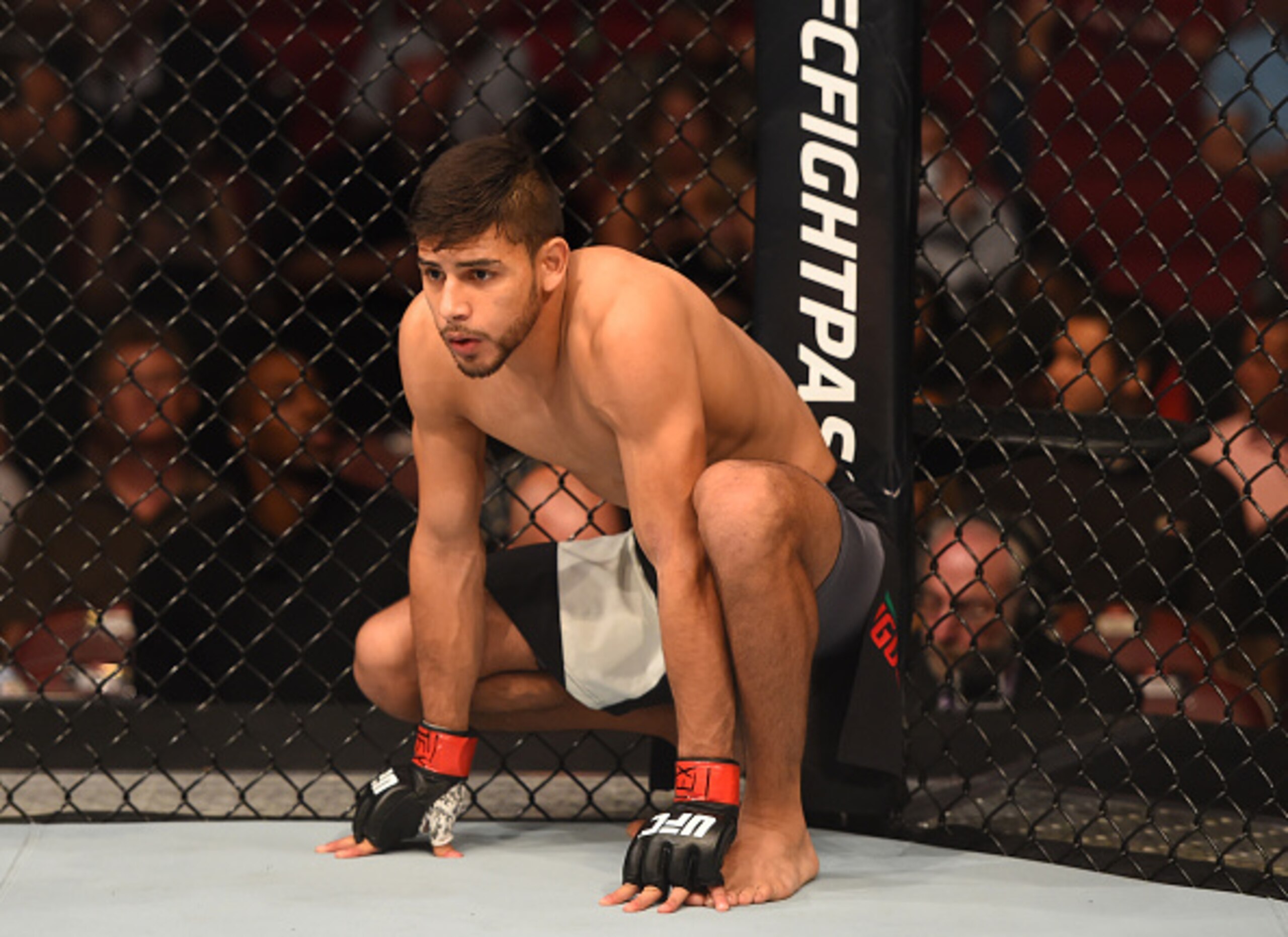 Yair Rodriguez is a serious talent.