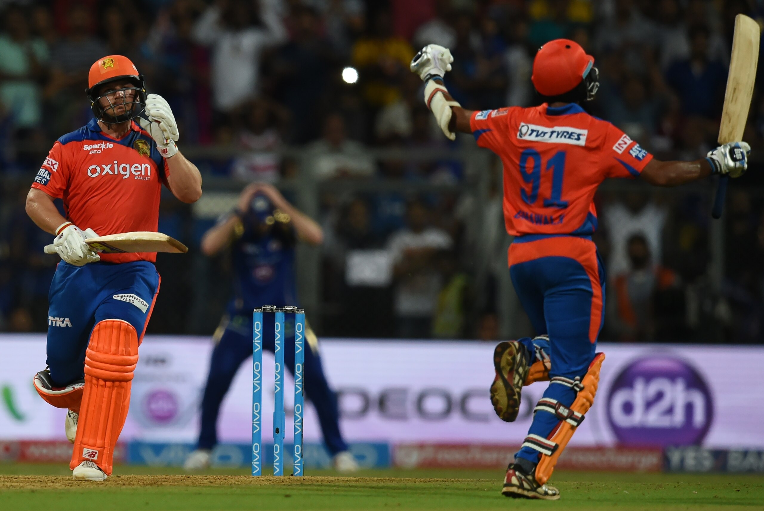 Gujarat Lions are the only team with a perfect record in the Indian Premier League.