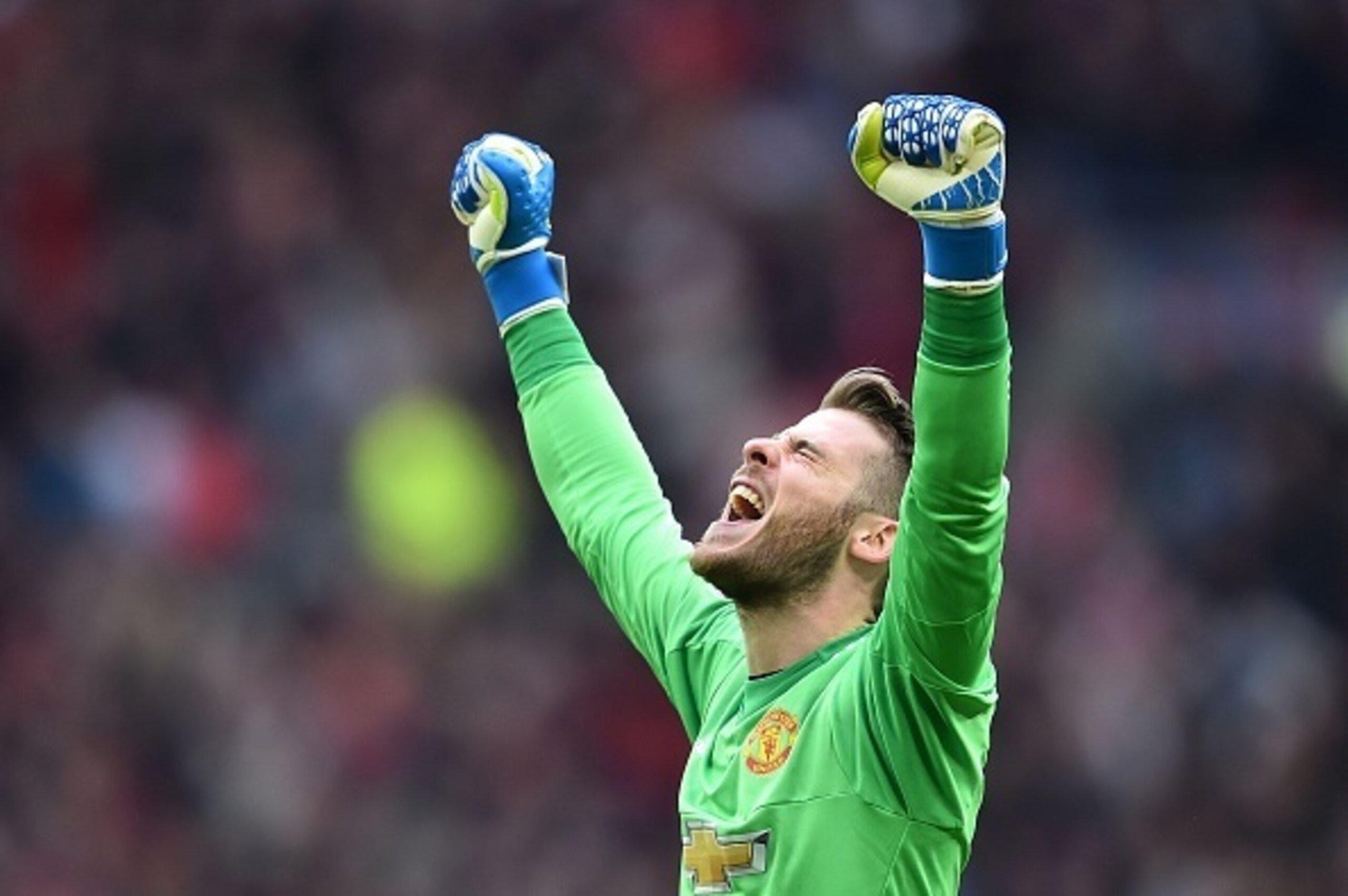 De Gea celebrates United's passage into the FA Cup final.