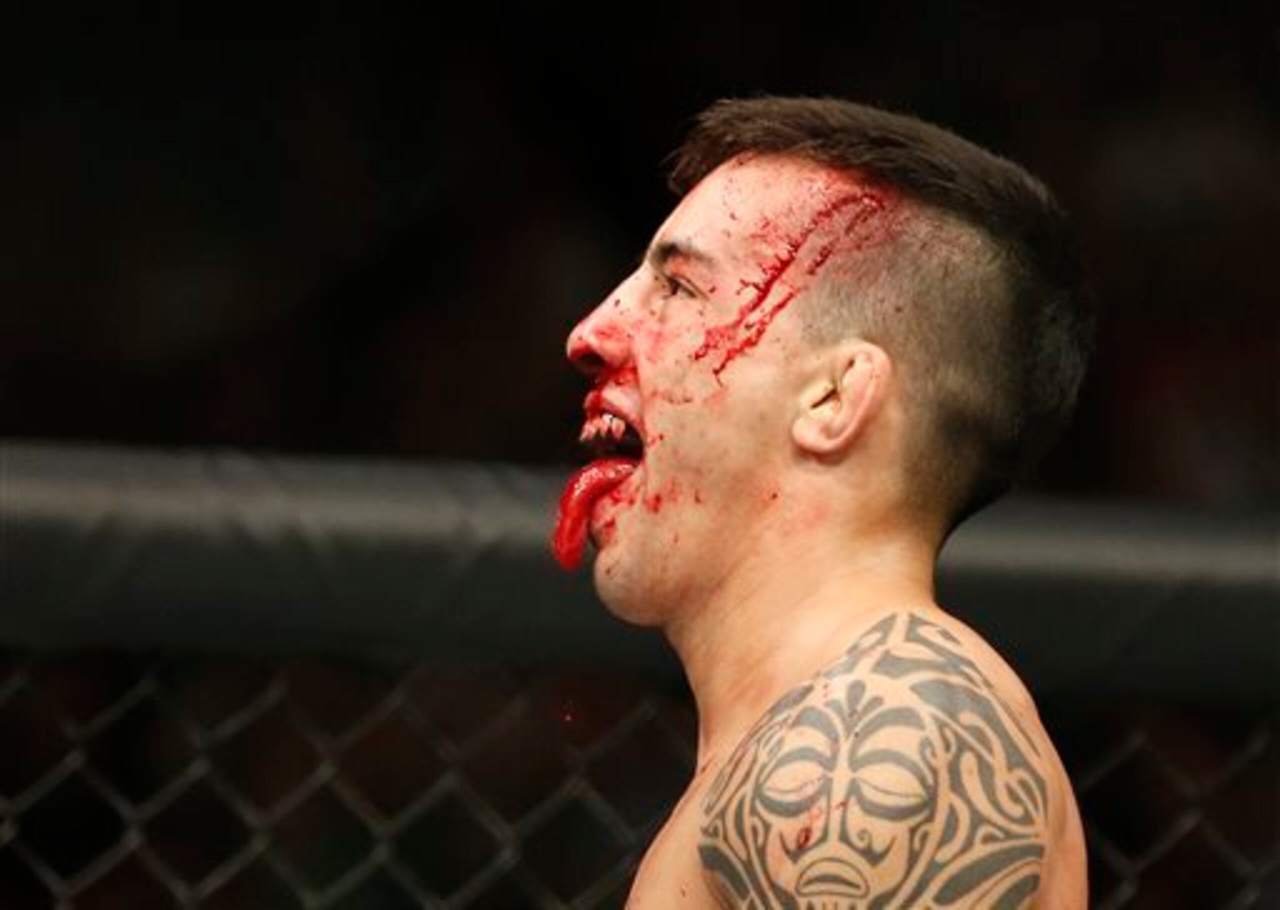 Dominick Cruz is once again the bantamweight king. Dominick Cruz is once again the bantamweight king.
