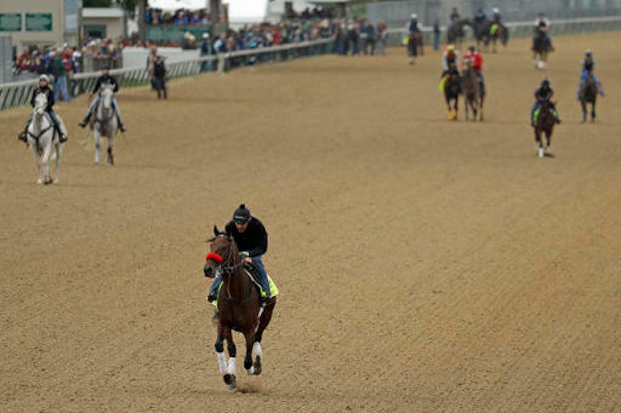 Nyquist is the Kentucky Derby favorite at 3-1.