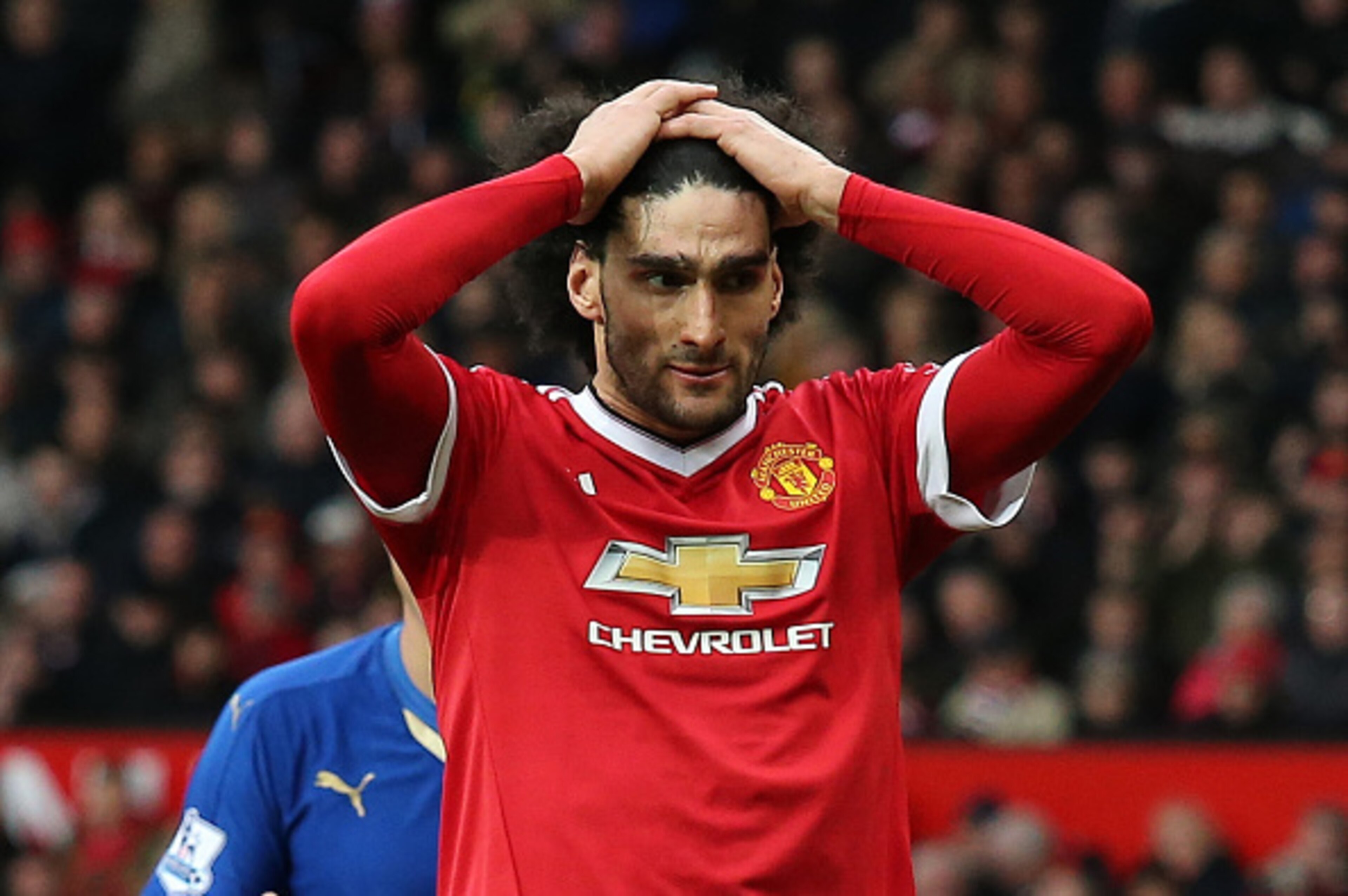 Fellaini should move on in the summer. Fellaini should move on in the summer.