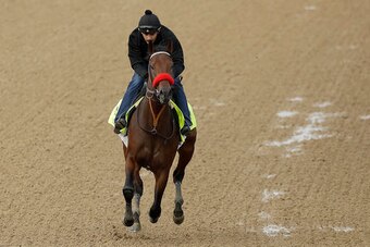 Nyquist gets in a gallop.