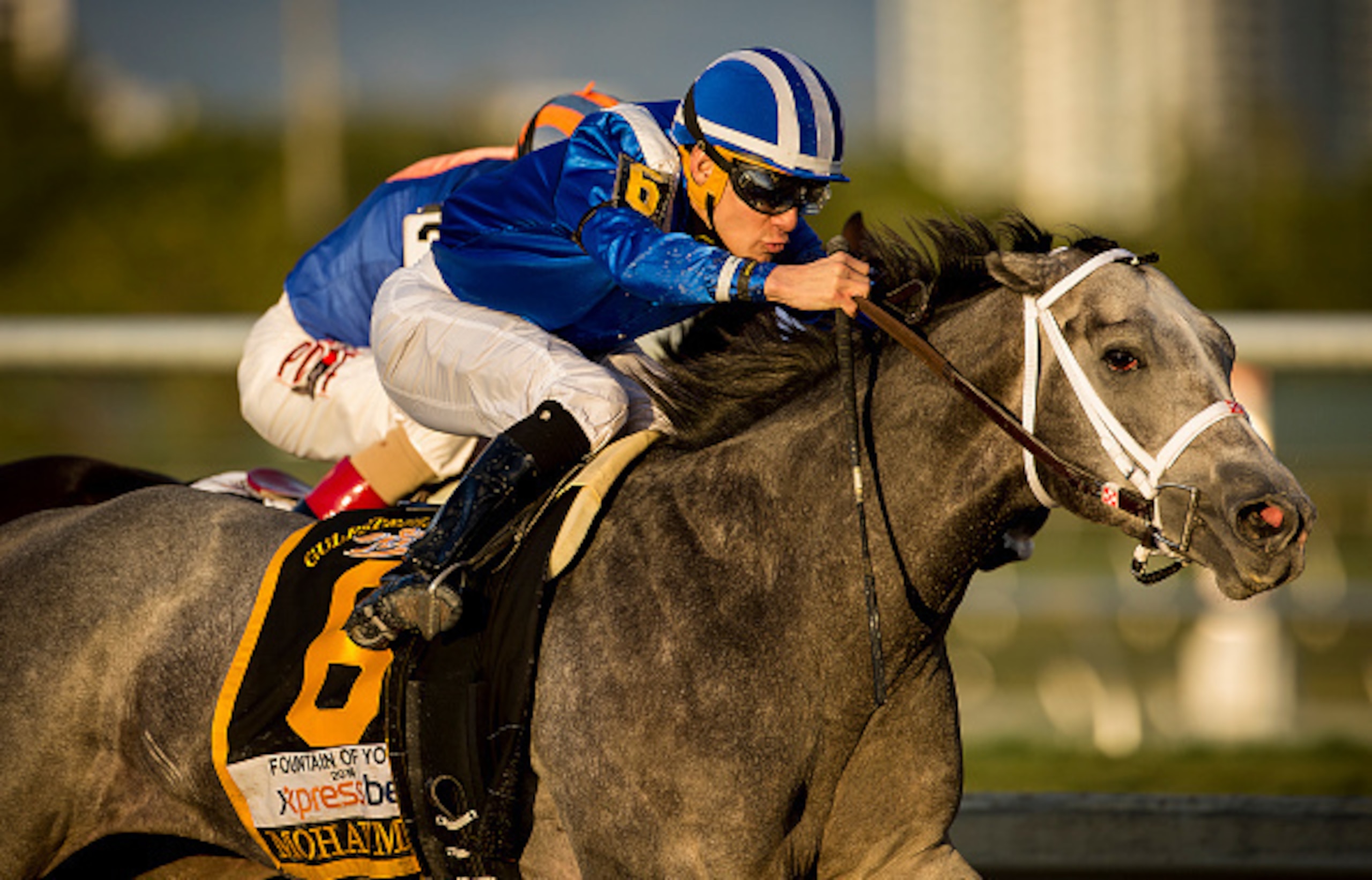 Mohaymen needs to bounce back off his disappointing Florida Derby (G1) effort.