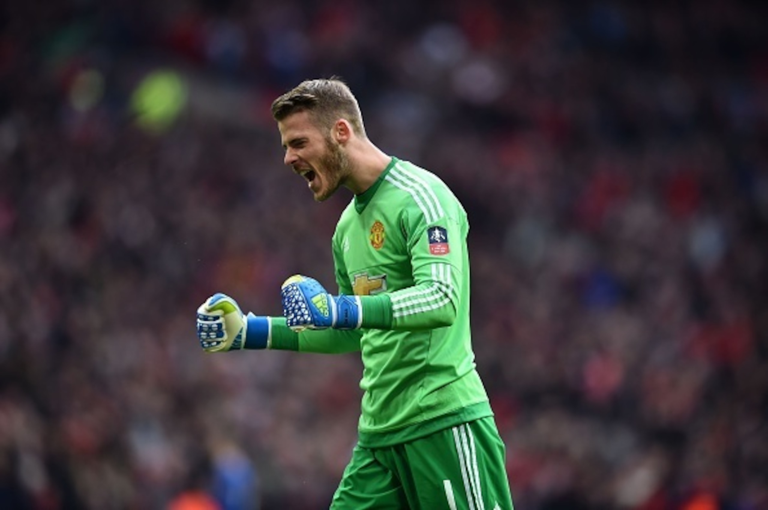 David De Gea has had another exceptional season. David De Gea has had another exceptional season.