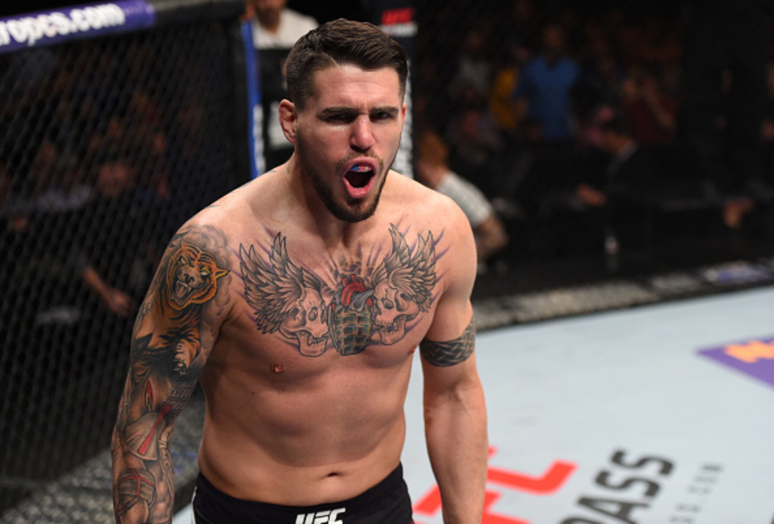 PITTSBURGH, PA - FEBRUARY 21:  Chris Camozzi celebrates his victory over Joe Riggs in their middleweight bout during the UFC Fight Night event at Consol Energy Center on February 21, 2016 in Pittsburgh, Pennsylvania. (Photo by Jeff Bottari/Zuffa LLC/Zuffa
