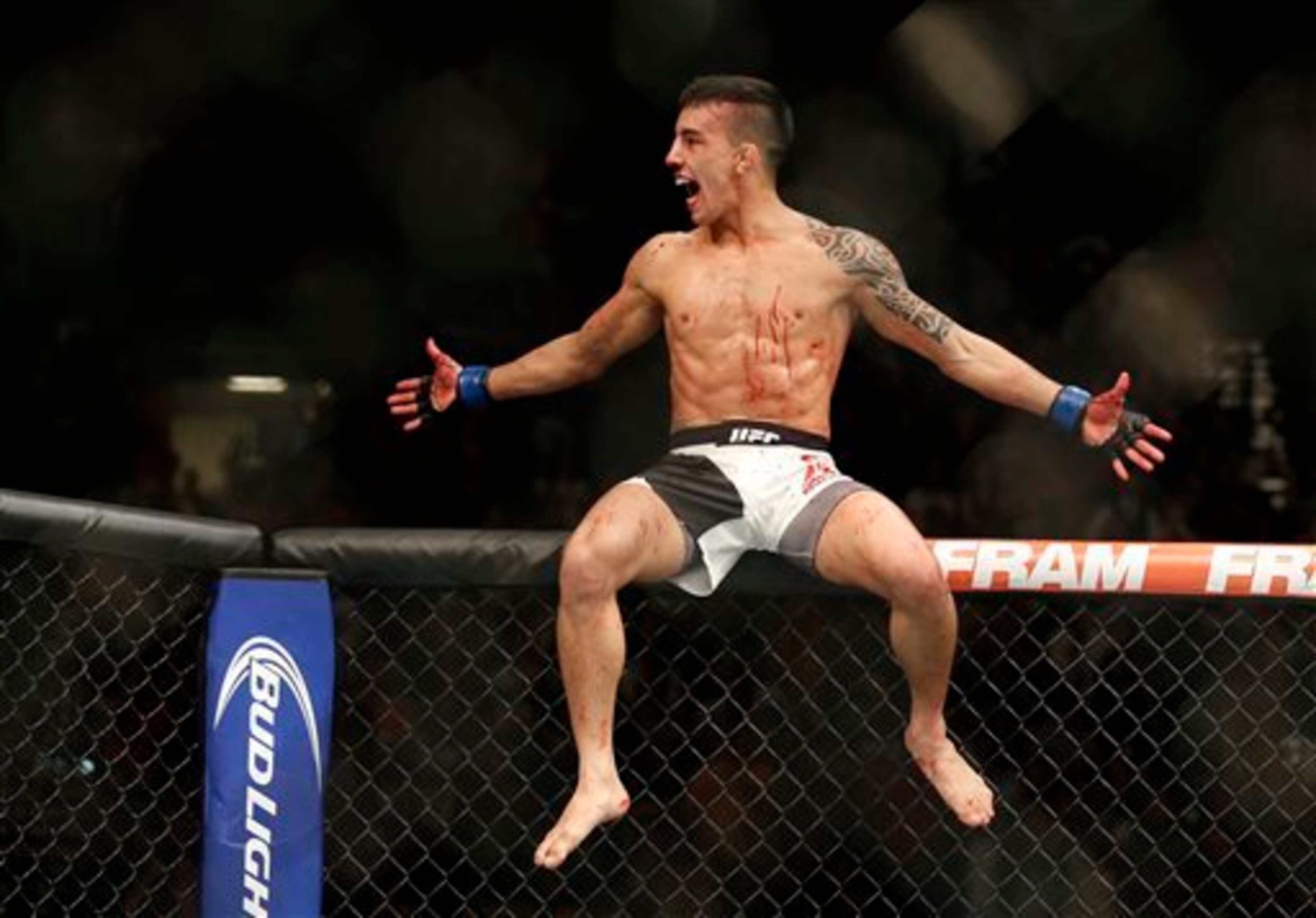 Thomas Almeida is a star in the making.