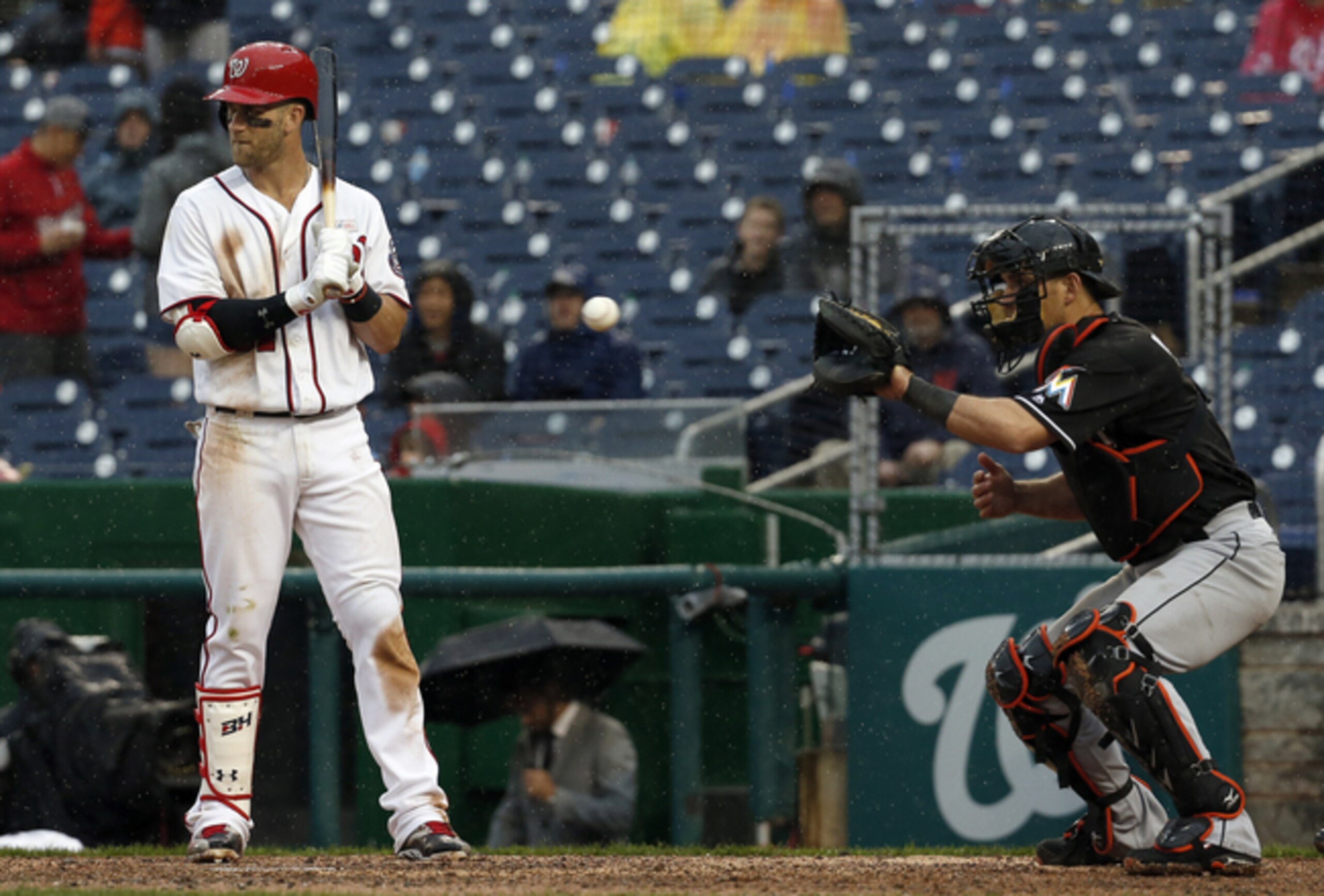 Next year, Bryce Harper may be able to walk to first without watching four pitches fly by. Next year, Bryce Harper may be able to walk to first without watching four pitches fly by.