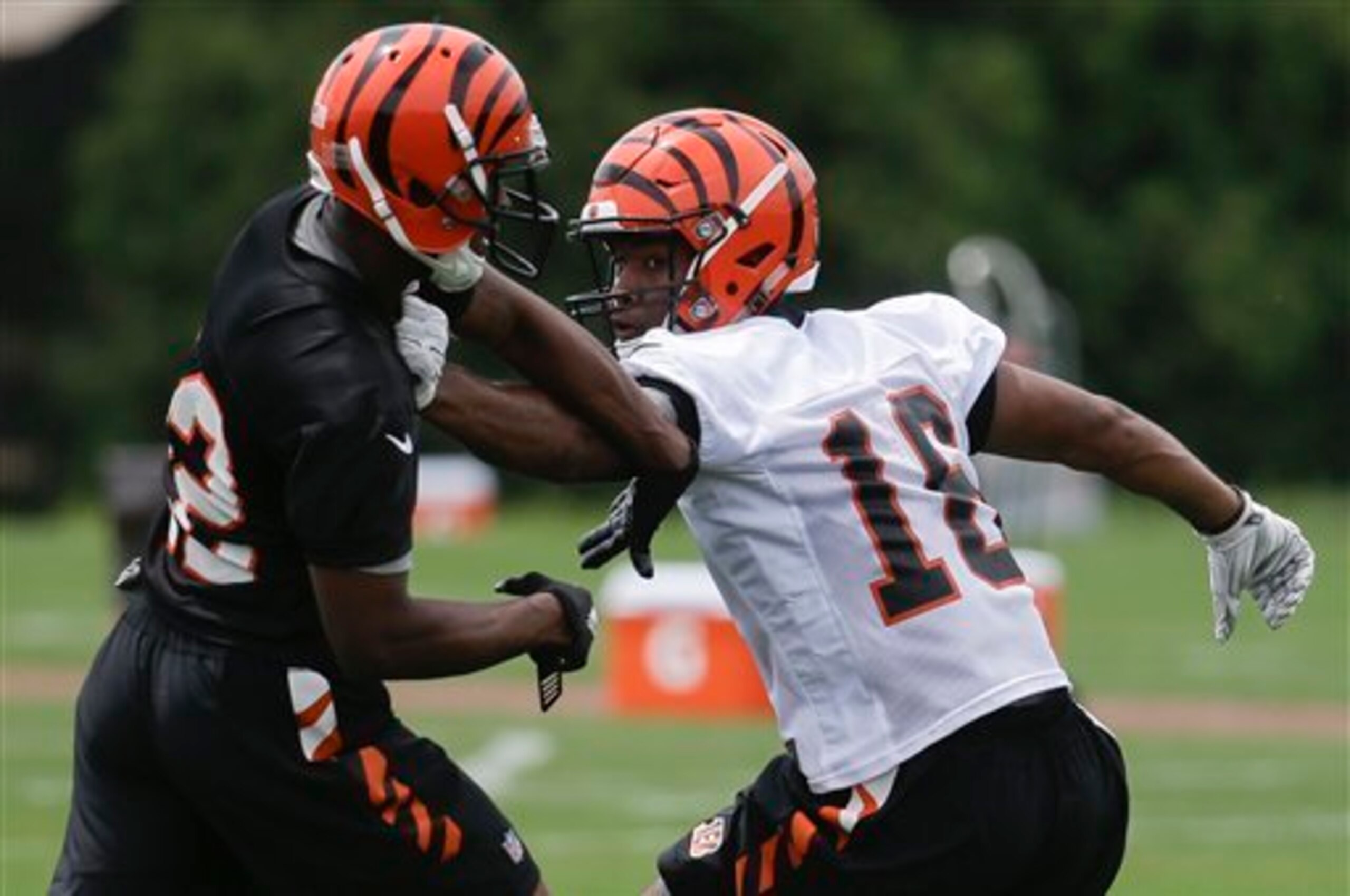 Former Mississippi receiver Cody Core is fighting for a spot in Cincinnati's receiving corps. Former Mississippi receiver Cody Core is fighting for a spot in Cincinnati's receiving corps.