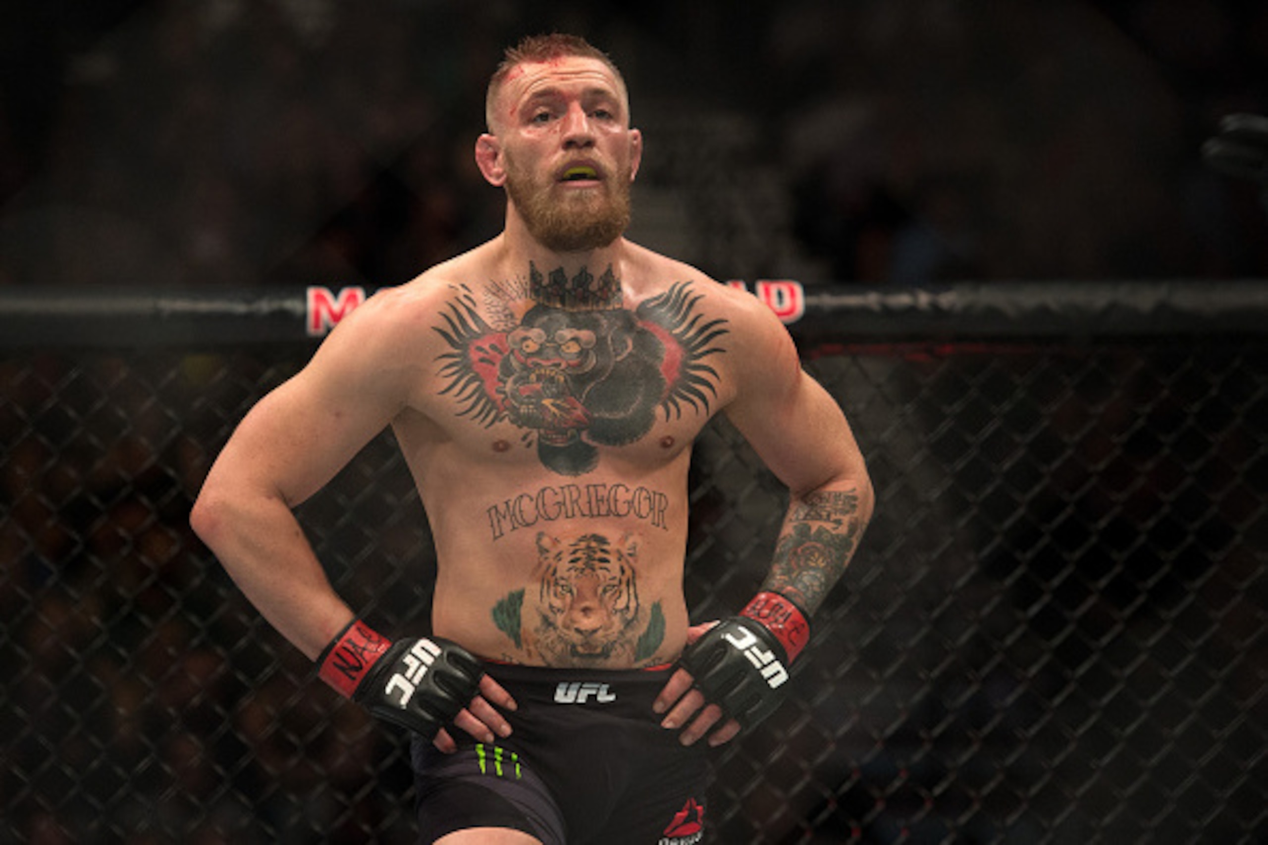 A fight involving Conor McGregor and Floyd Mayweather could be fun. A fight involving Conor McGregor and Floyd Mayweather could be fun.