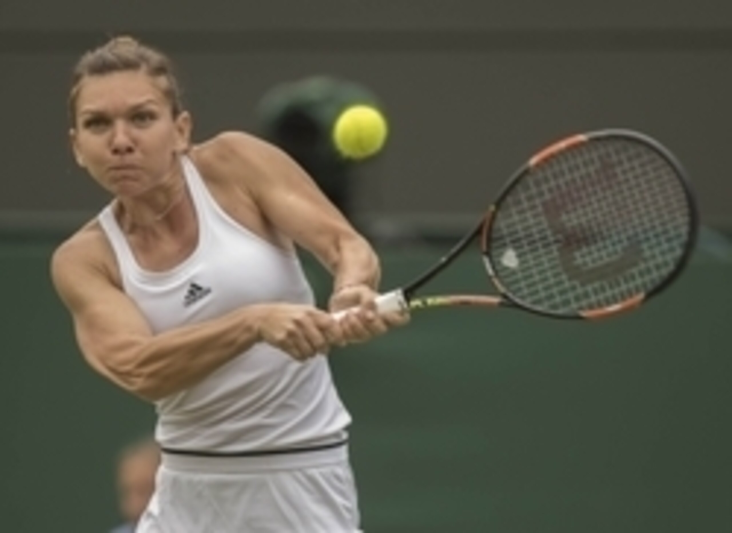 Will Halep ever win a Grand Slam title?