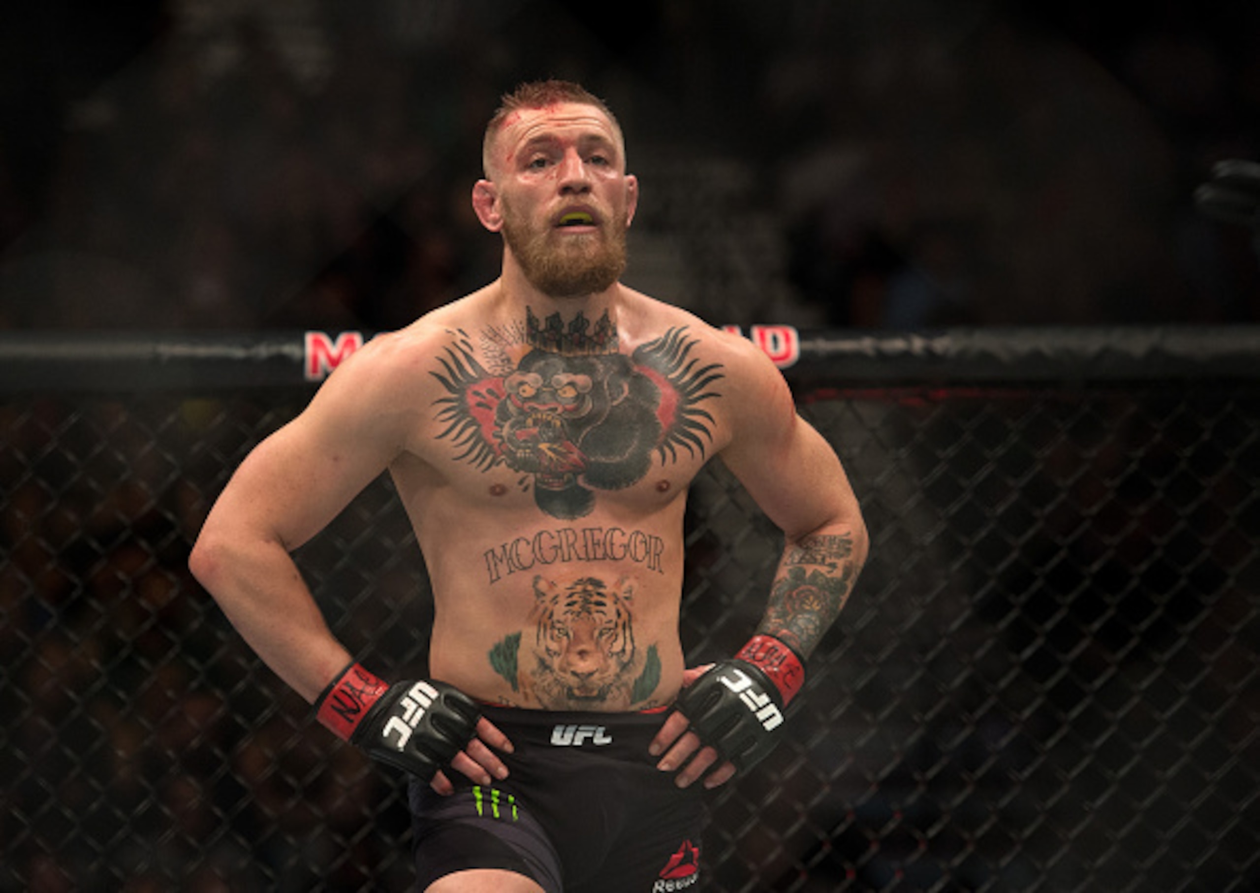 Can Conor McGregor save his 2016?