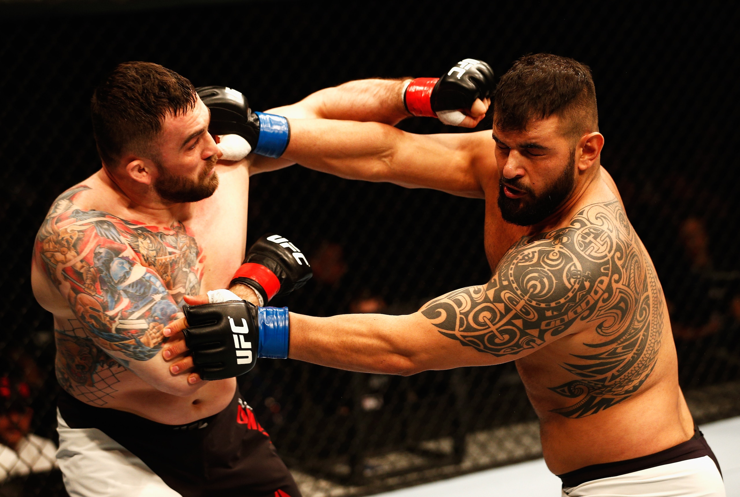 Daniel Omielanczuk, left, brawls with Jarjis Danho.