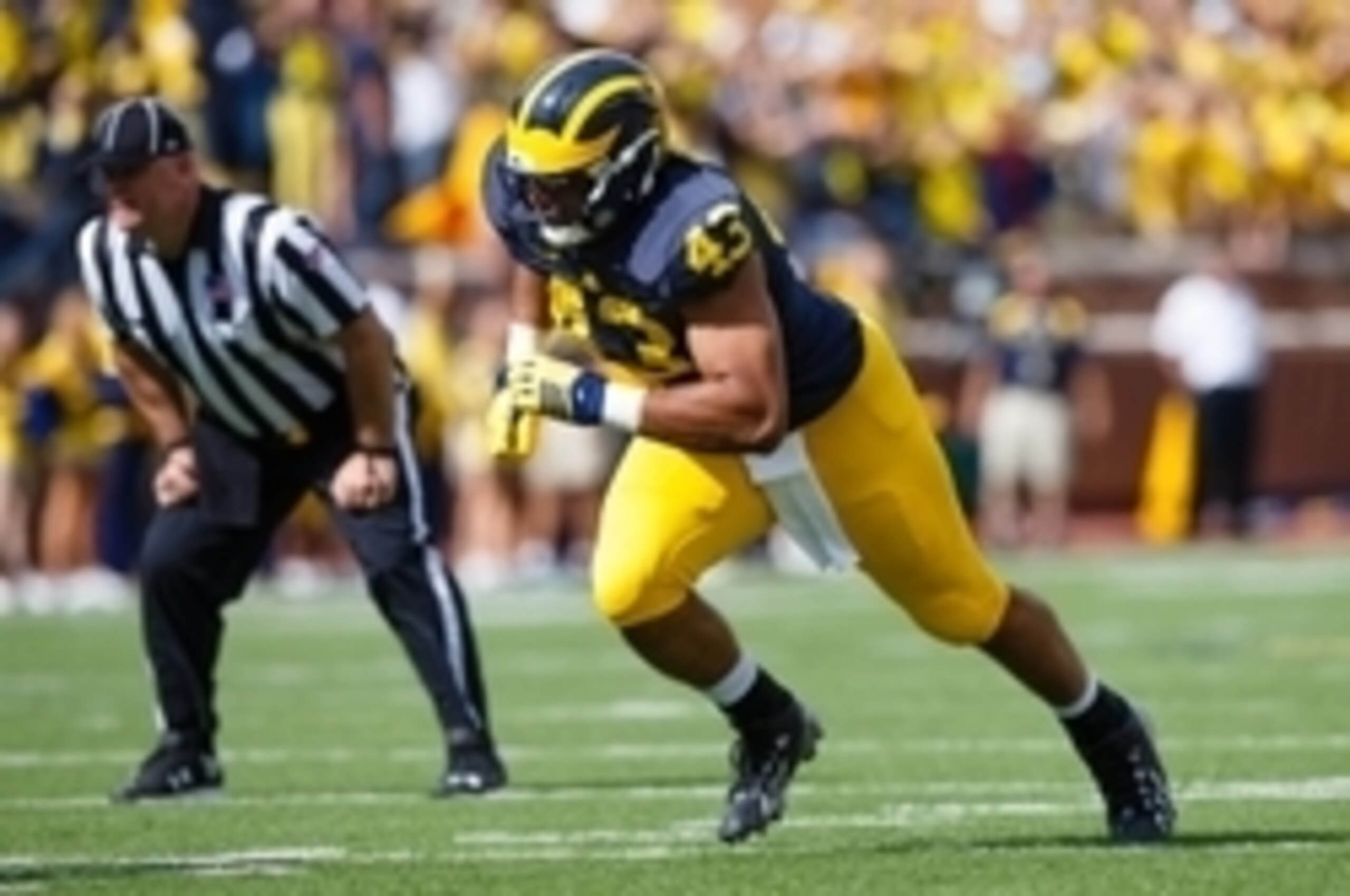 Michigan DE Chris Wormley