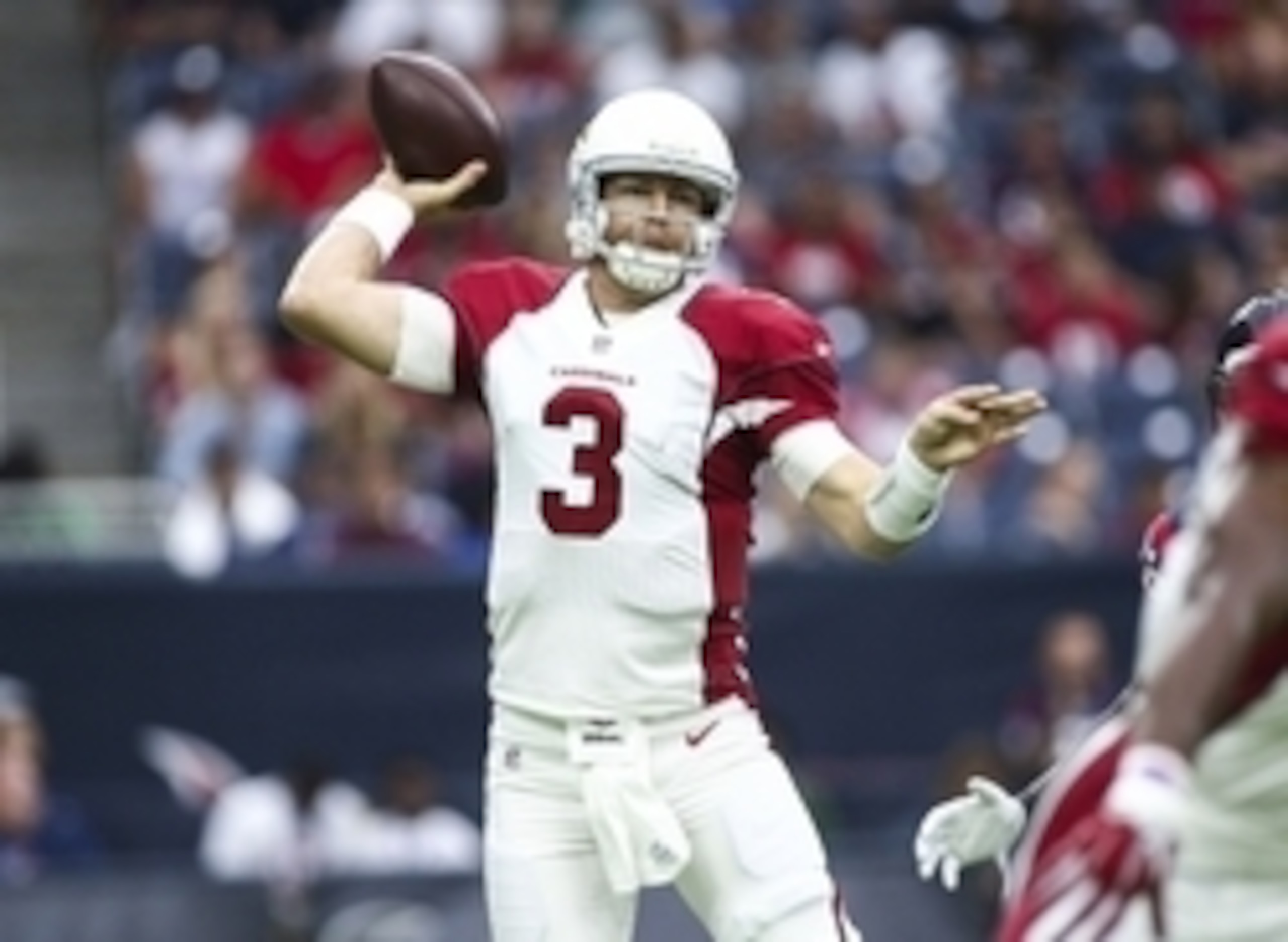 The Arizona Cardinals have a fantasy-friendly offense led by Carson Palmer.