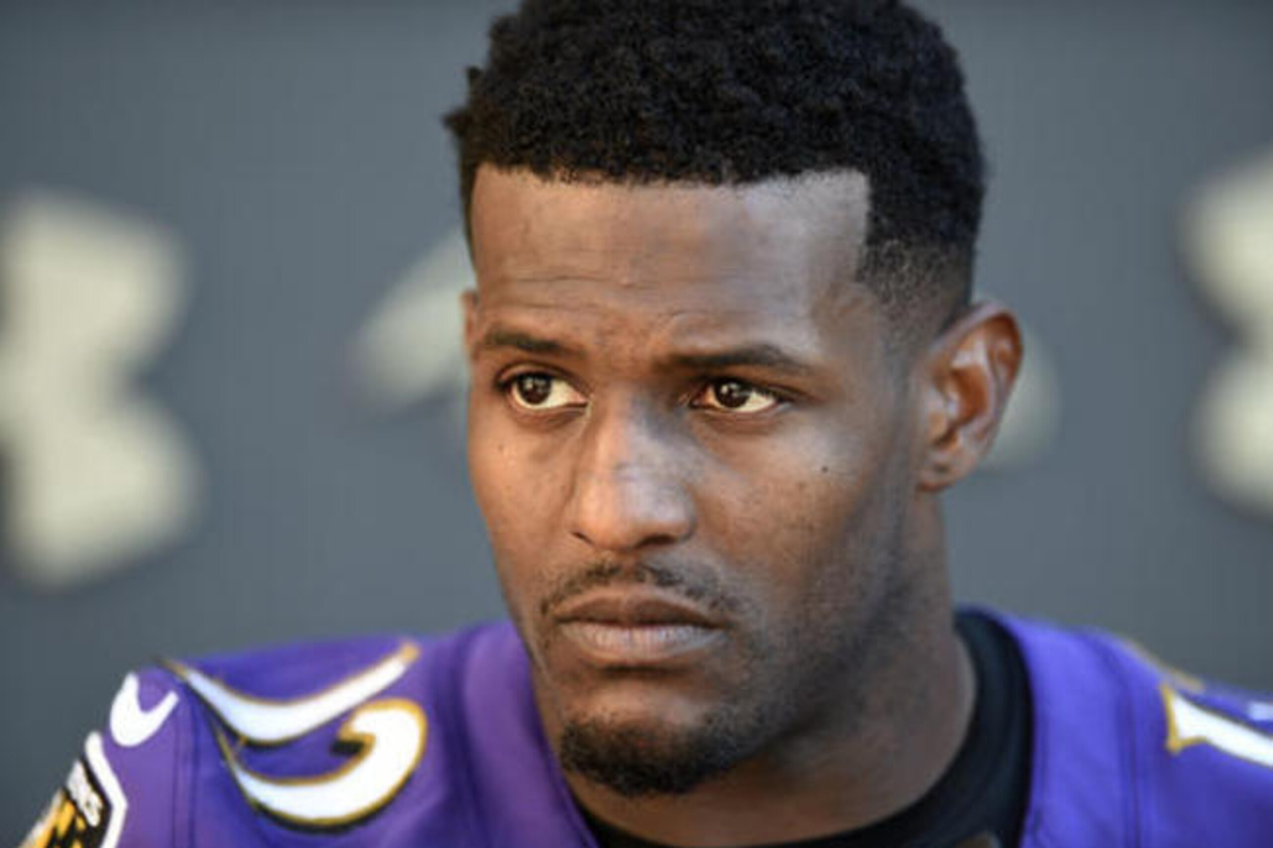 New Ravens receiver Mike Wallace is just one of the unheralded free-agent additions who should be fun to follow in training camp this season.