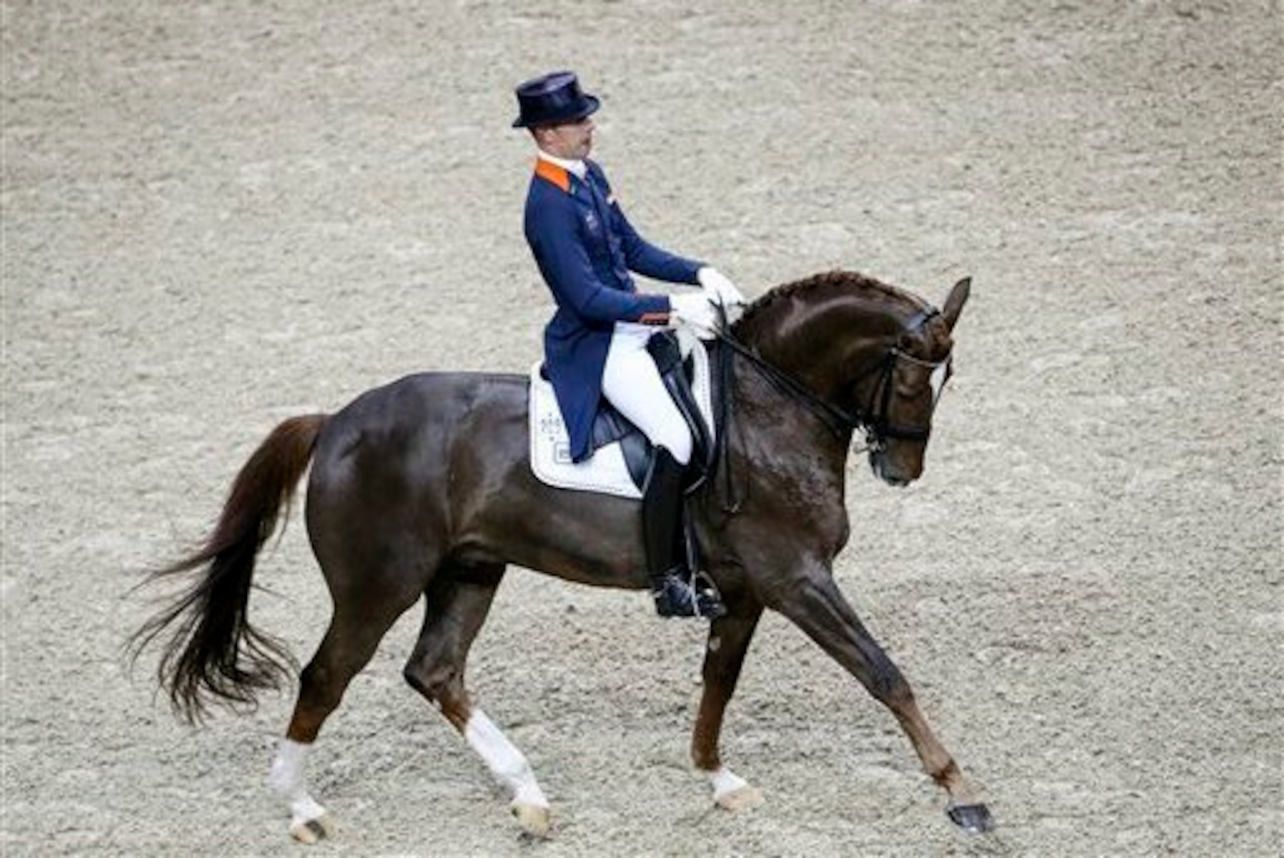 Equestrian dressage Equestrian dressage