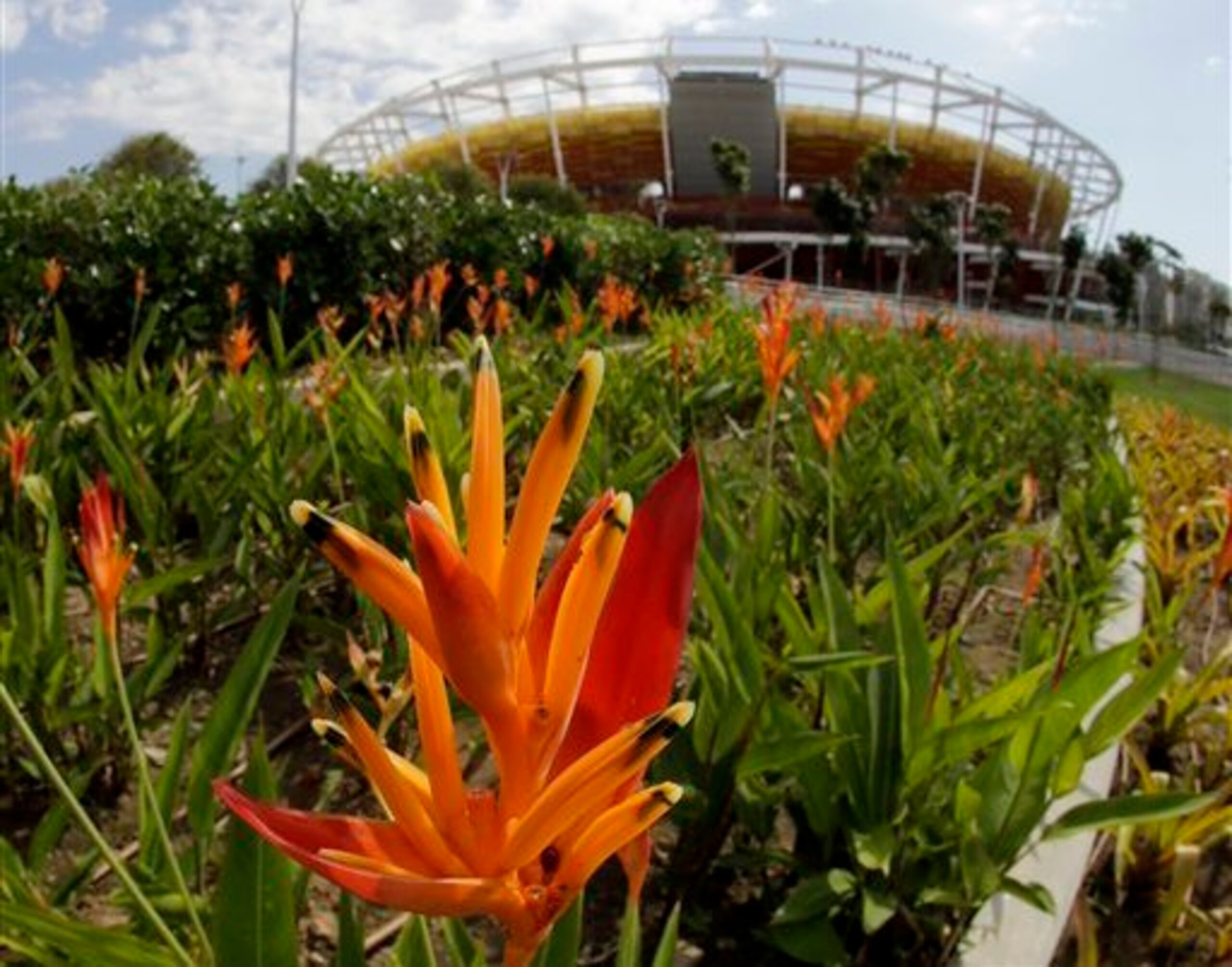 A new stadium built for the tennis competition in Rio.
