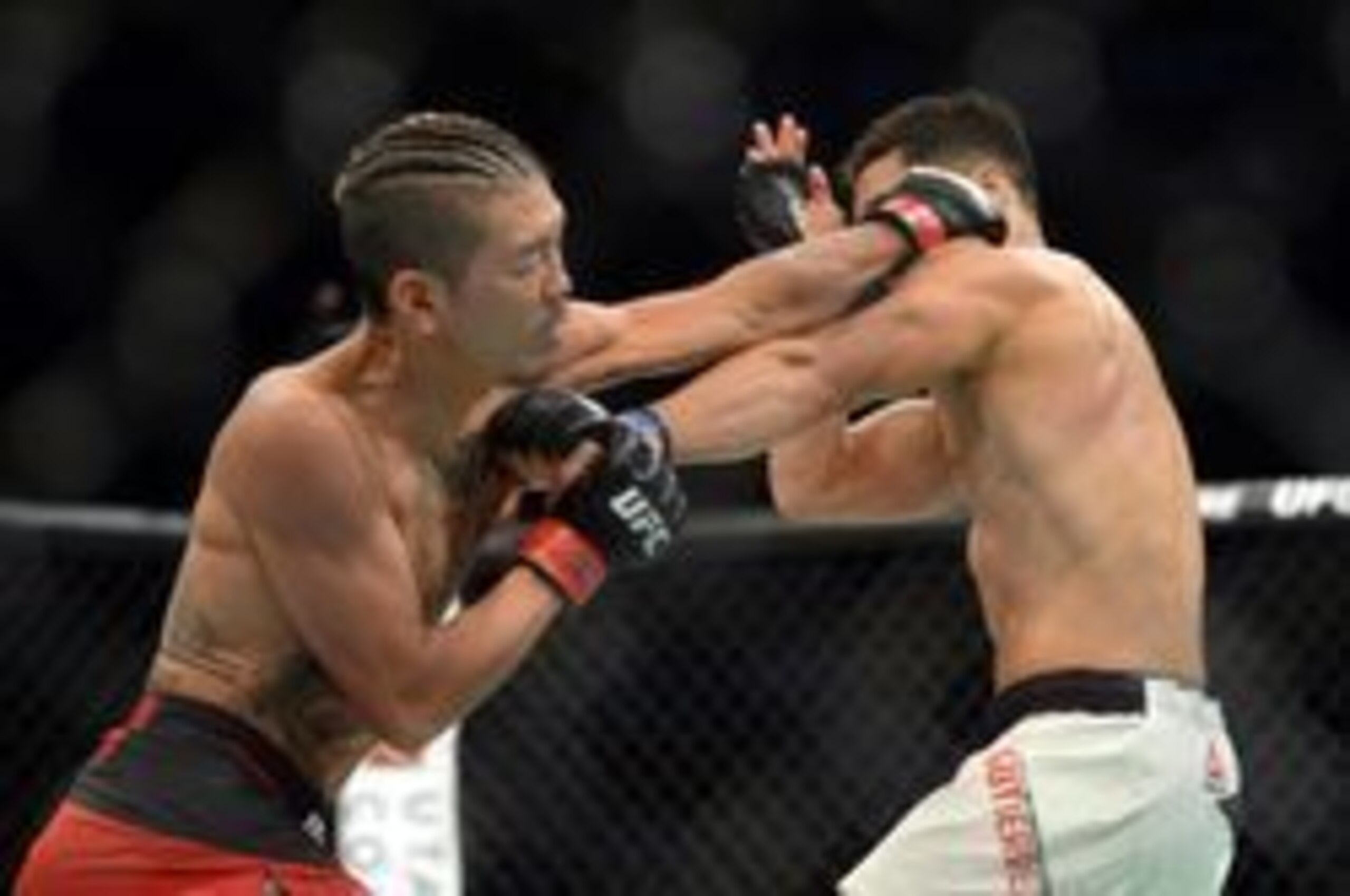 Teruto Ishihara (left) knocked out Horacio Gutierrez.