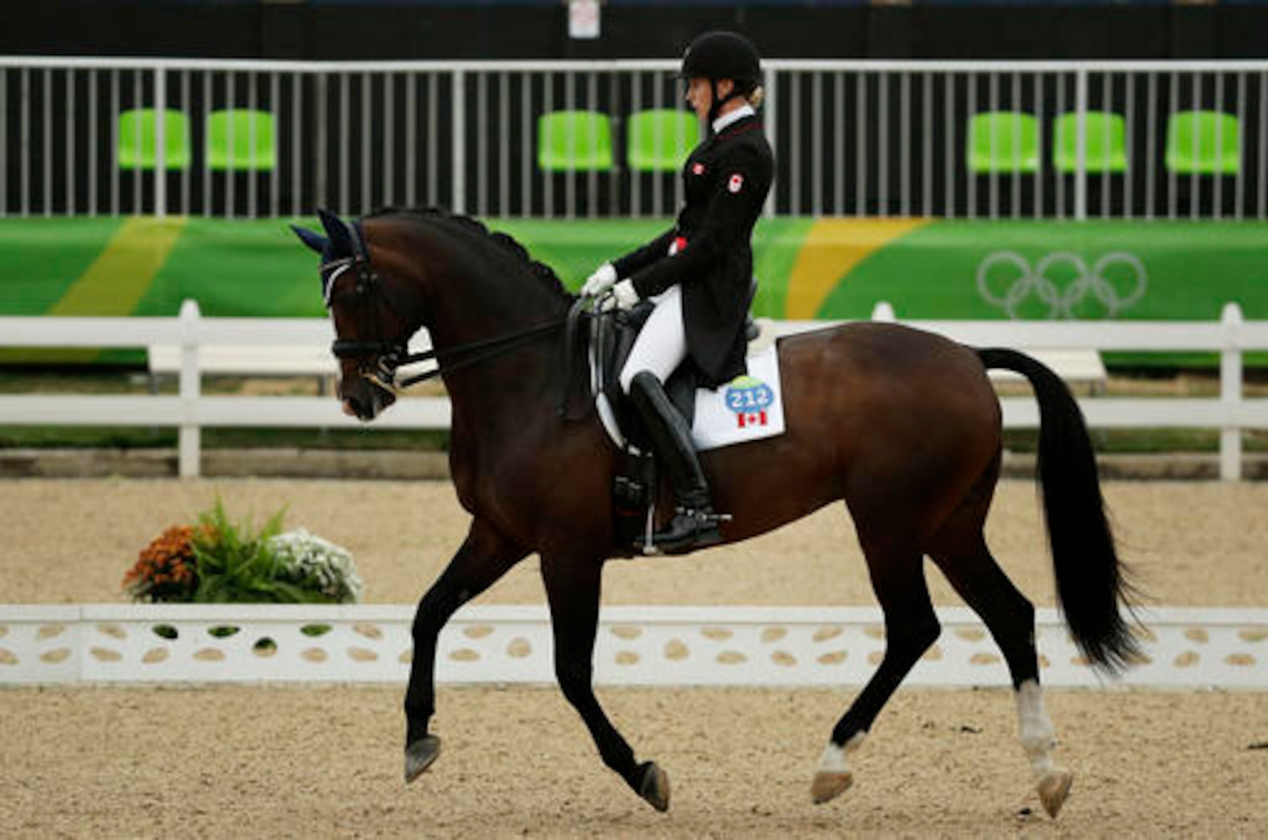 Equestrian events aren't the most thrilling draw in Rio.
