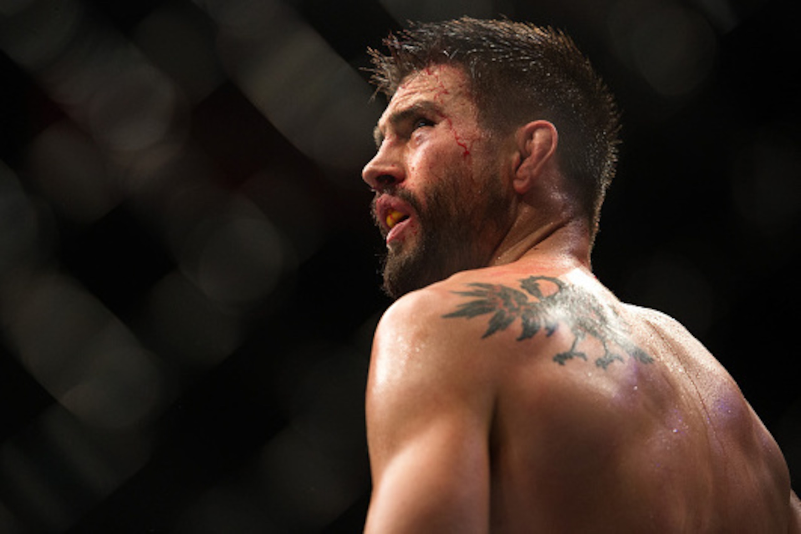 Carlos Condit Carlos Condit
