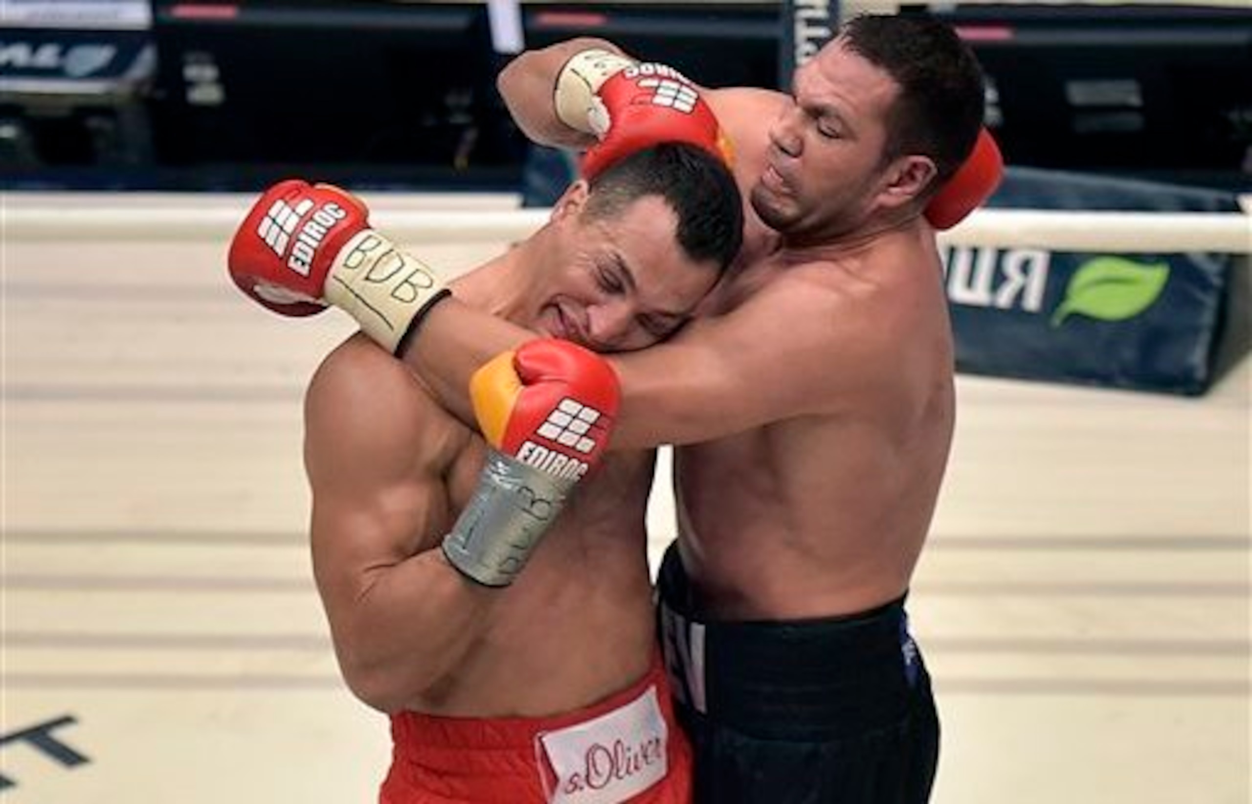Kubrat Pulev's only pro loss came against Wladimir Klitschko.