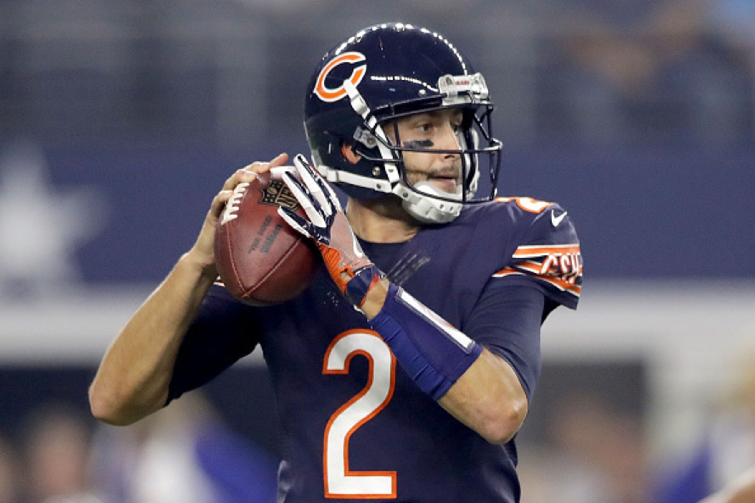 Bears QB Brian Hoyer