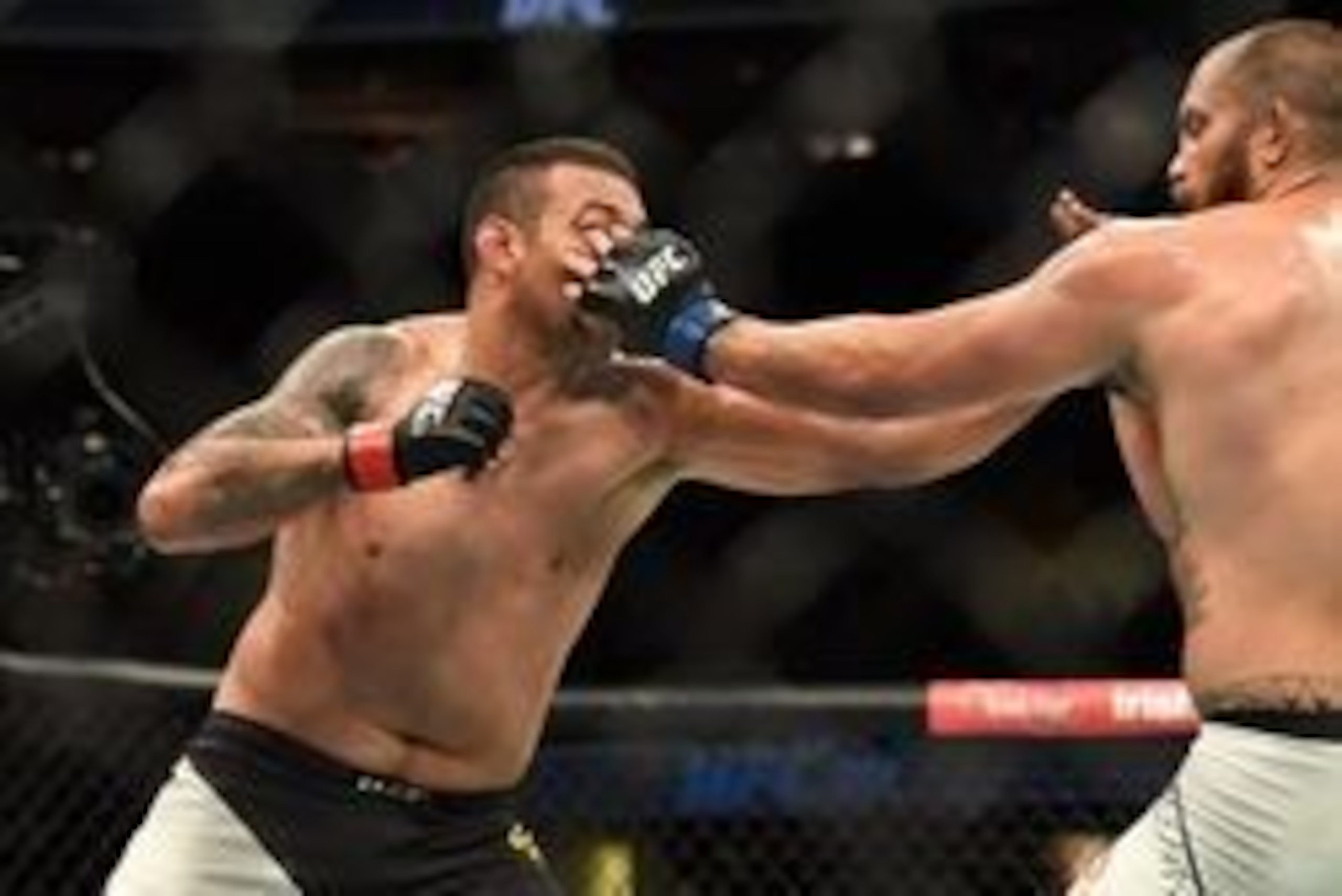 Fabricio Werdum (left) takes an eye poke from Travis Browne at UFC 203.