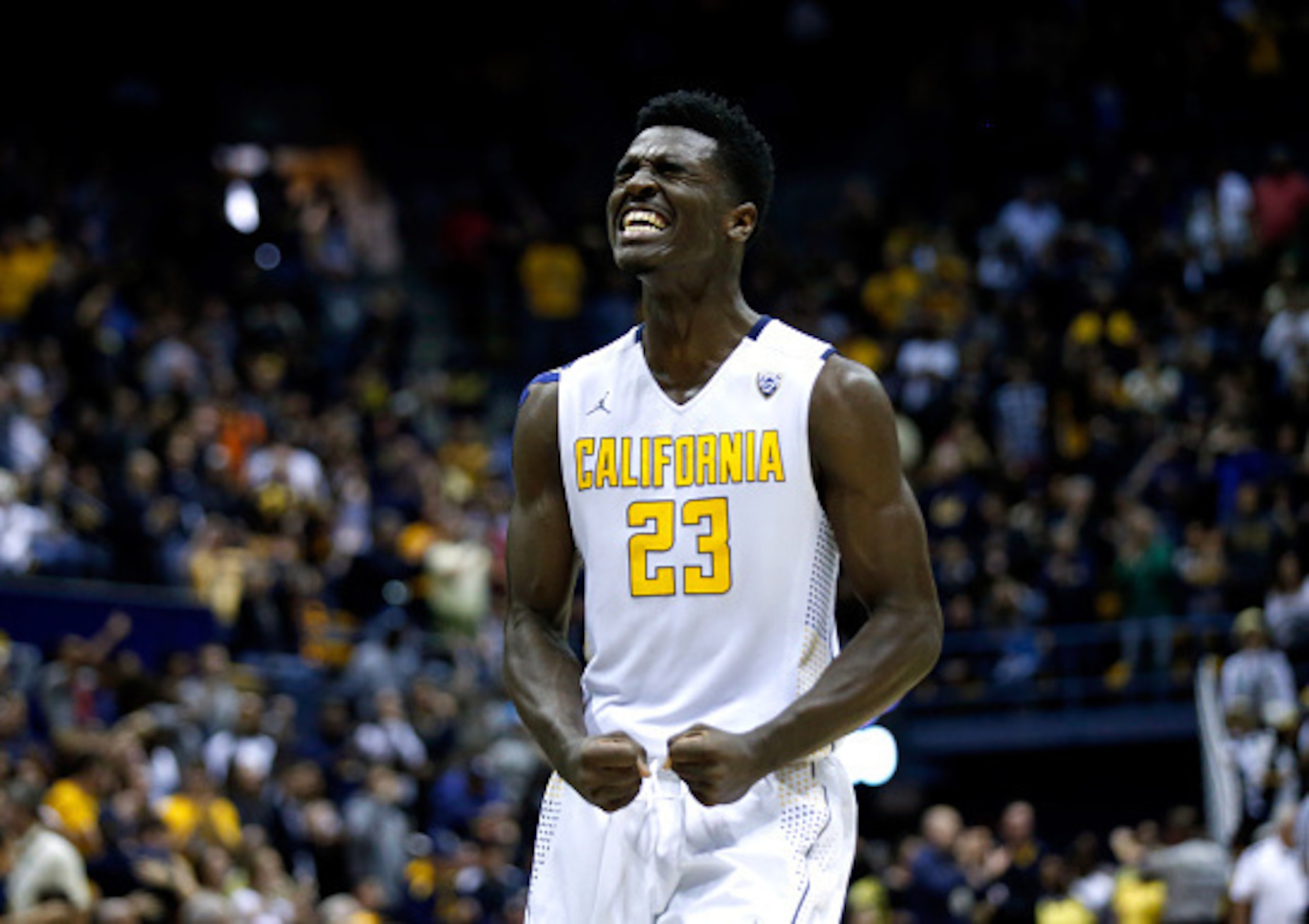 Jabari Bird