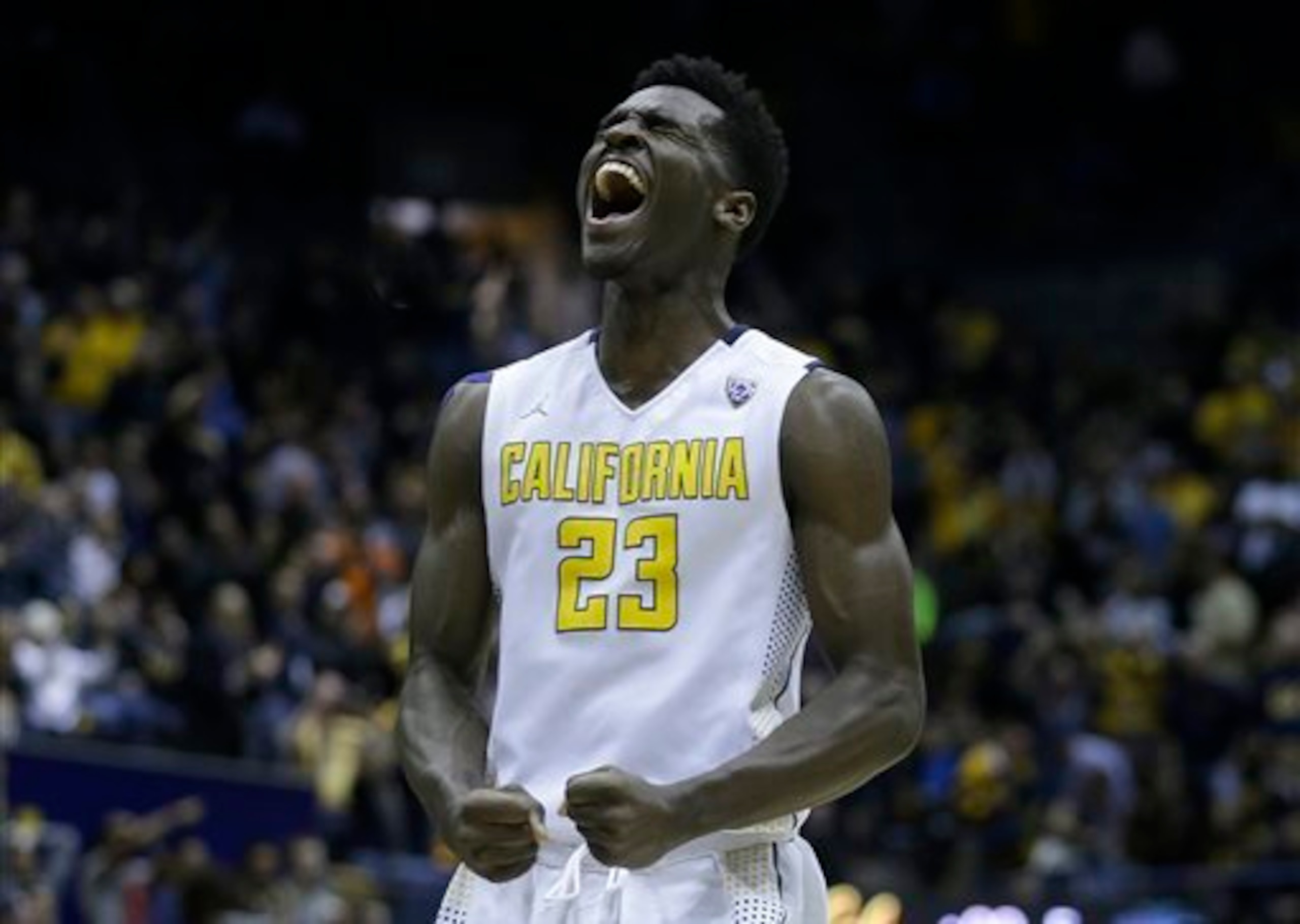 Jabari Bird