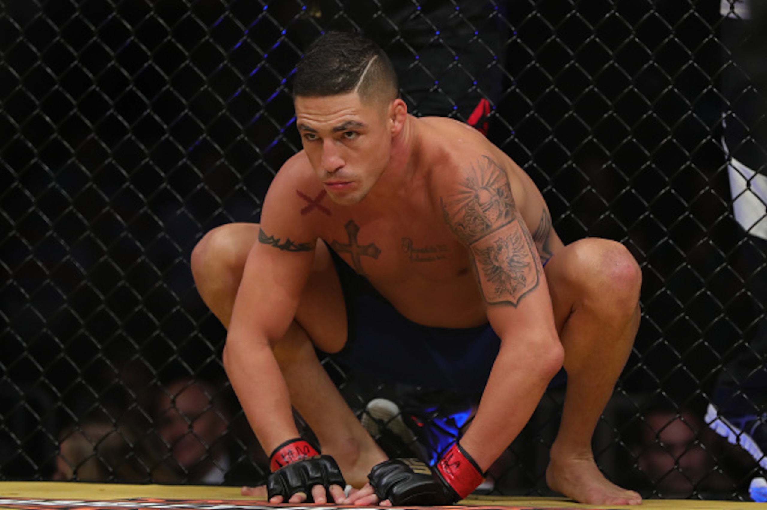 The venerable Sanchez fights for the 25th time in the Octagon.