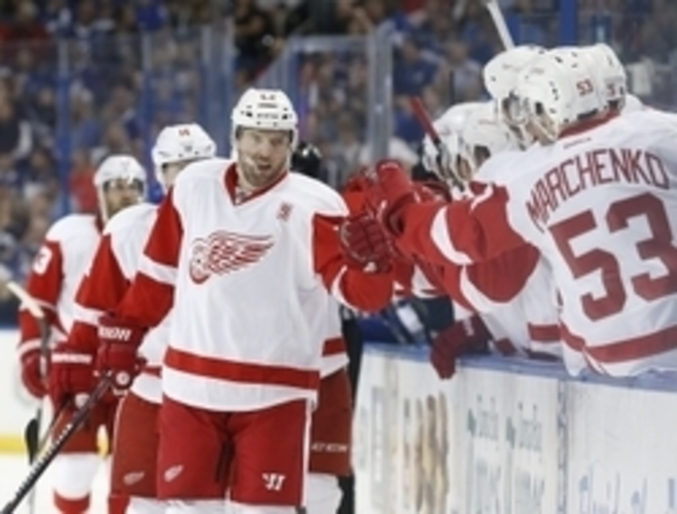Oct 13, 2016; Tampa, FL, USA;  Detroit Red Wings left wing Thomas Vanek (62) is congratulated by teammates on the bench after he scored a goal against Tampa Bay Lightning during the first period at Amalie Arena. Mandatory Credit: Kim Klement-USA TODAY Spo