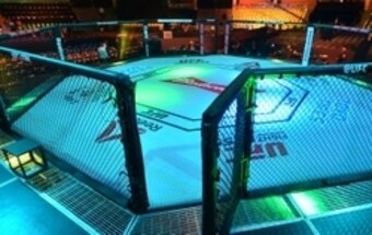 Two talented youngsters meet to decide the winner of TUF: Latin America 3.