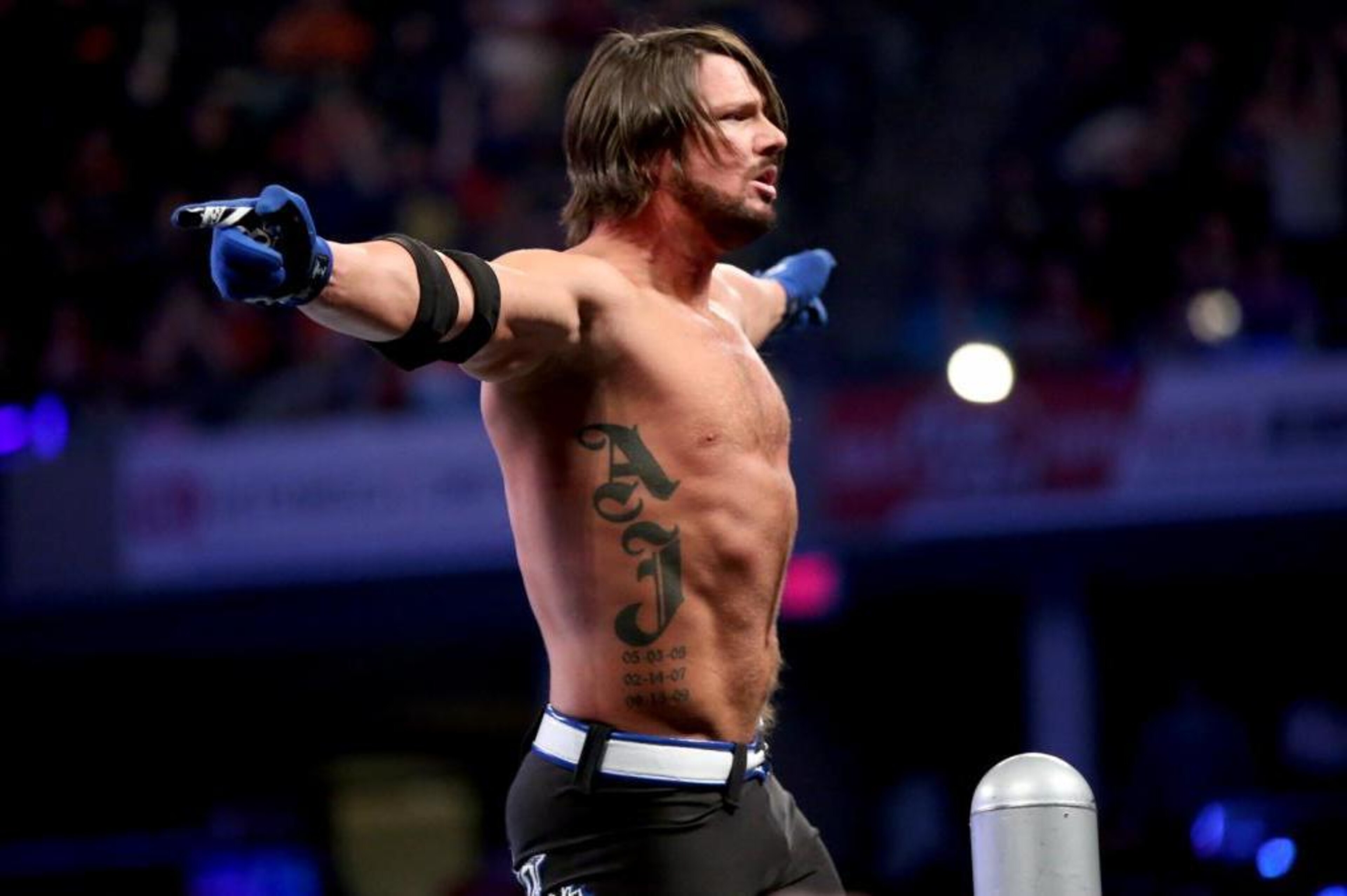 AJ Styles has found success in both WWE and TNA. AJ Styles has found success in both WWE and TNA.