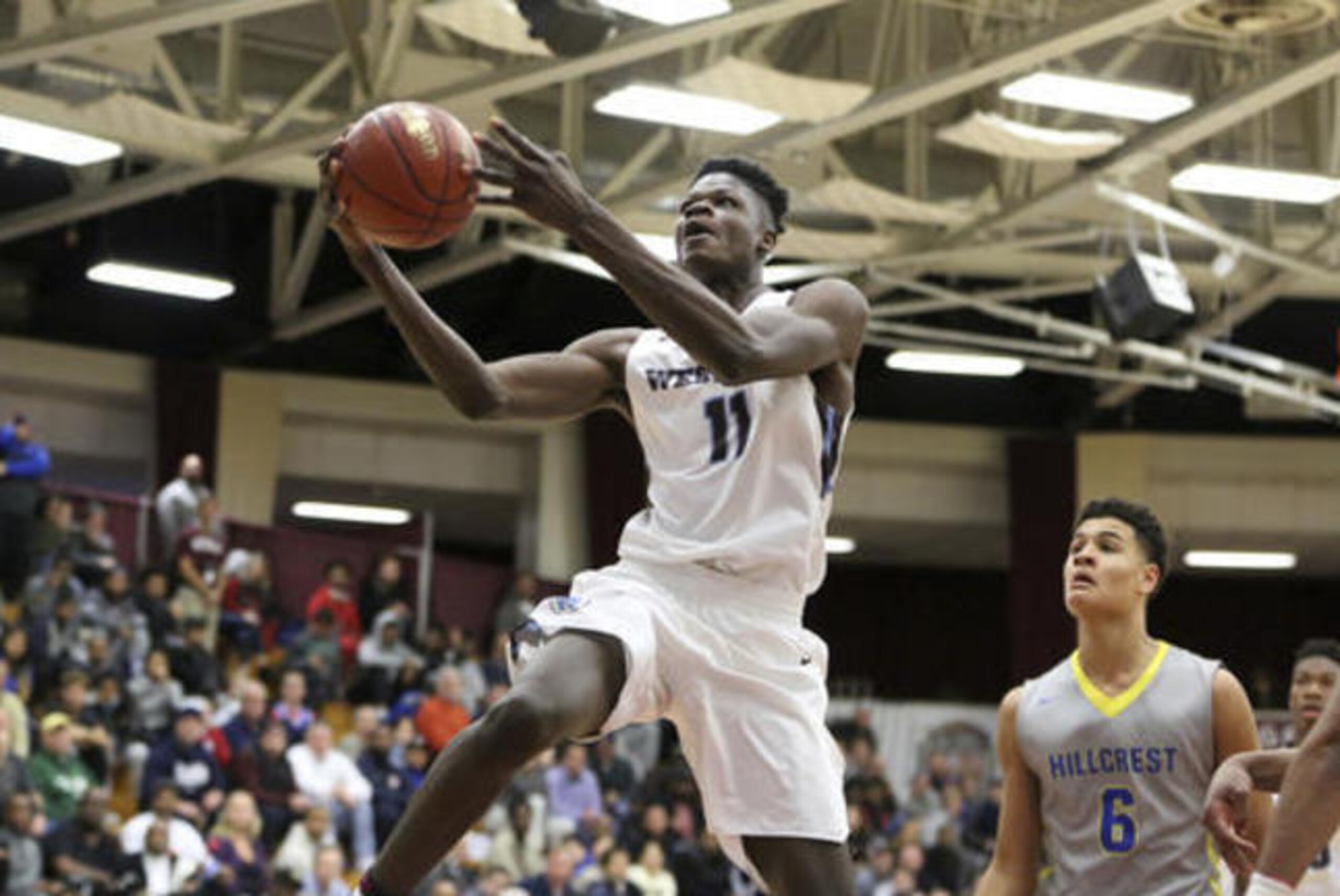 Mohamed Bamba / Mohamed Bamba /