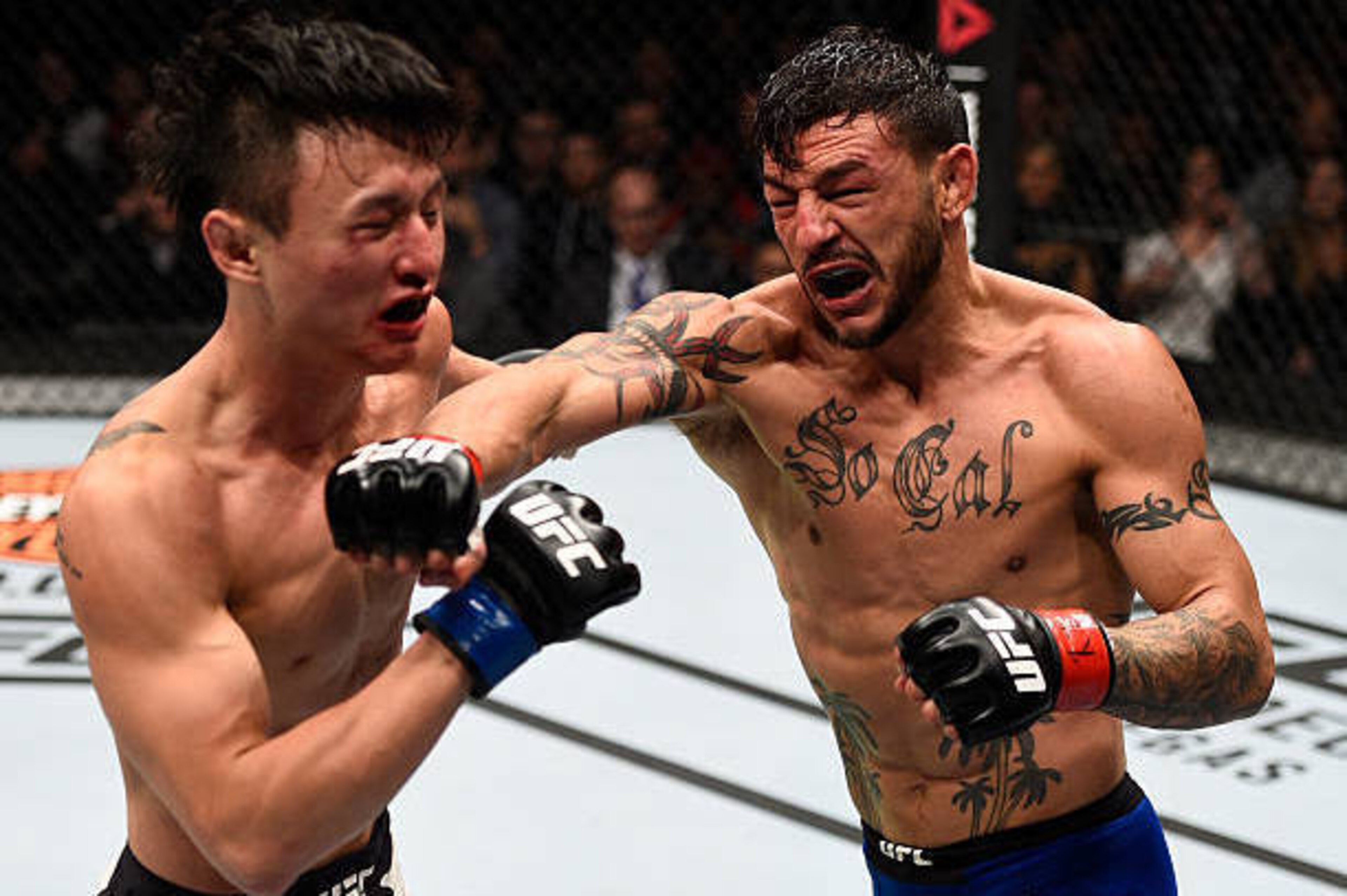 Cub Swanson looks to build on his stellar last fight with a matchup against Artem Lobov.