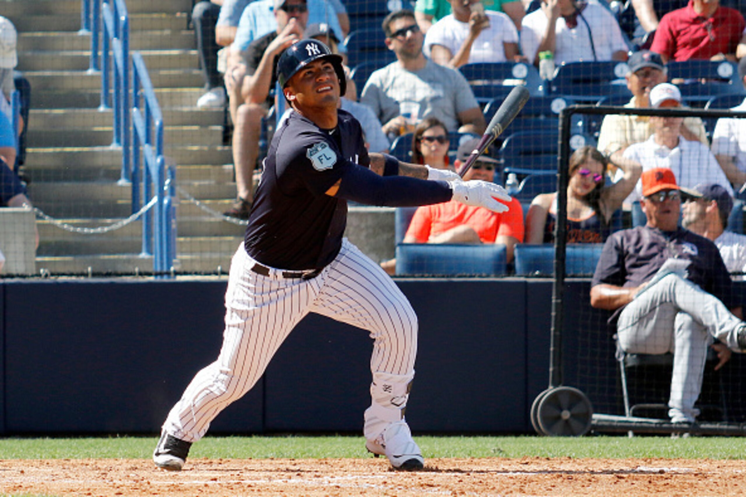 Checking in on Gleyber Torres, and more!