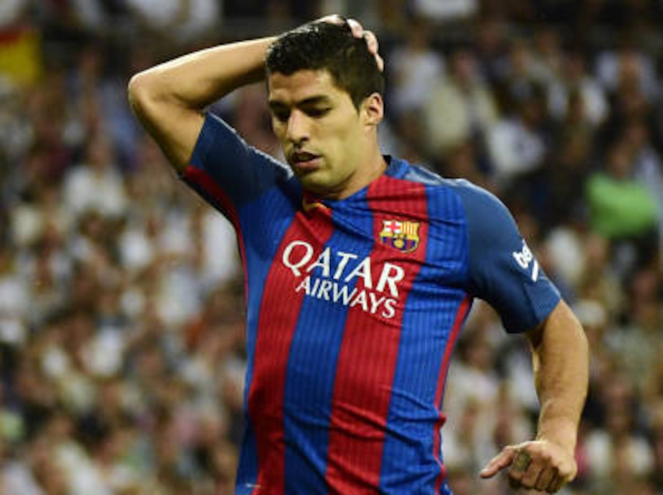Luis Suarez was sensational at Liverpool, despite the controversial moments.