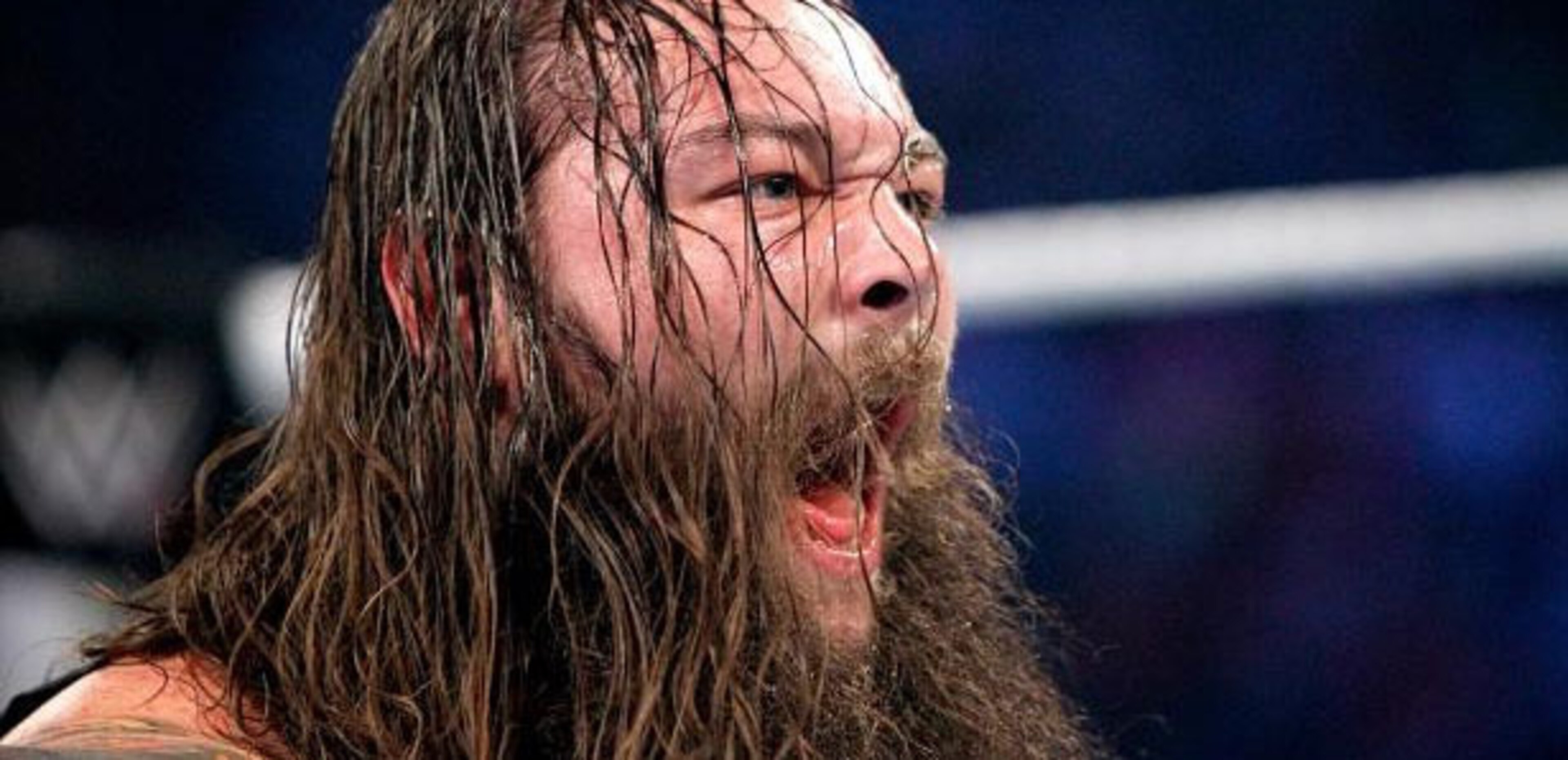 Bray Wyatt Bray Wyatt
