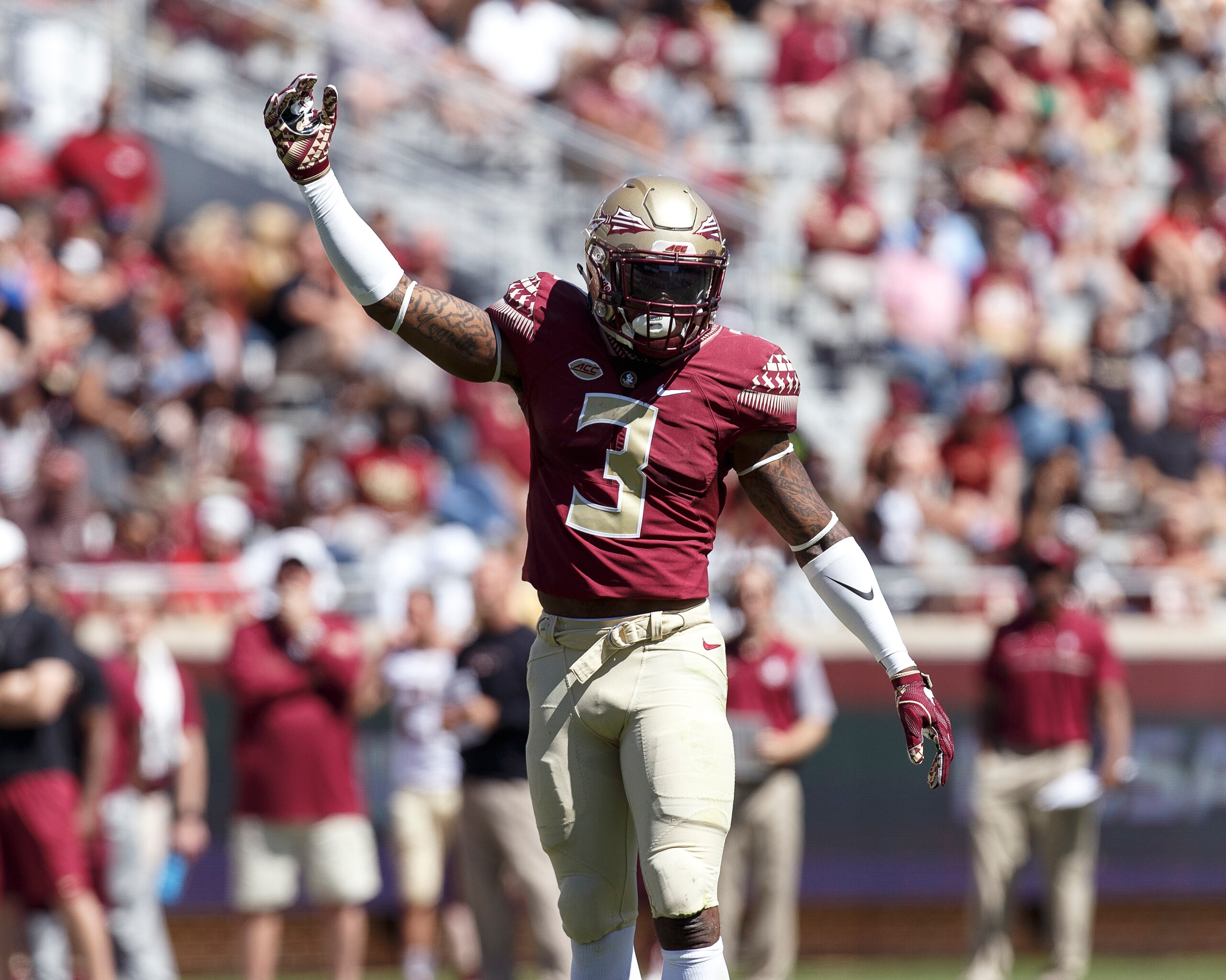 Derwin James is a true Swiss Army knife of a player for Florida State's defense.