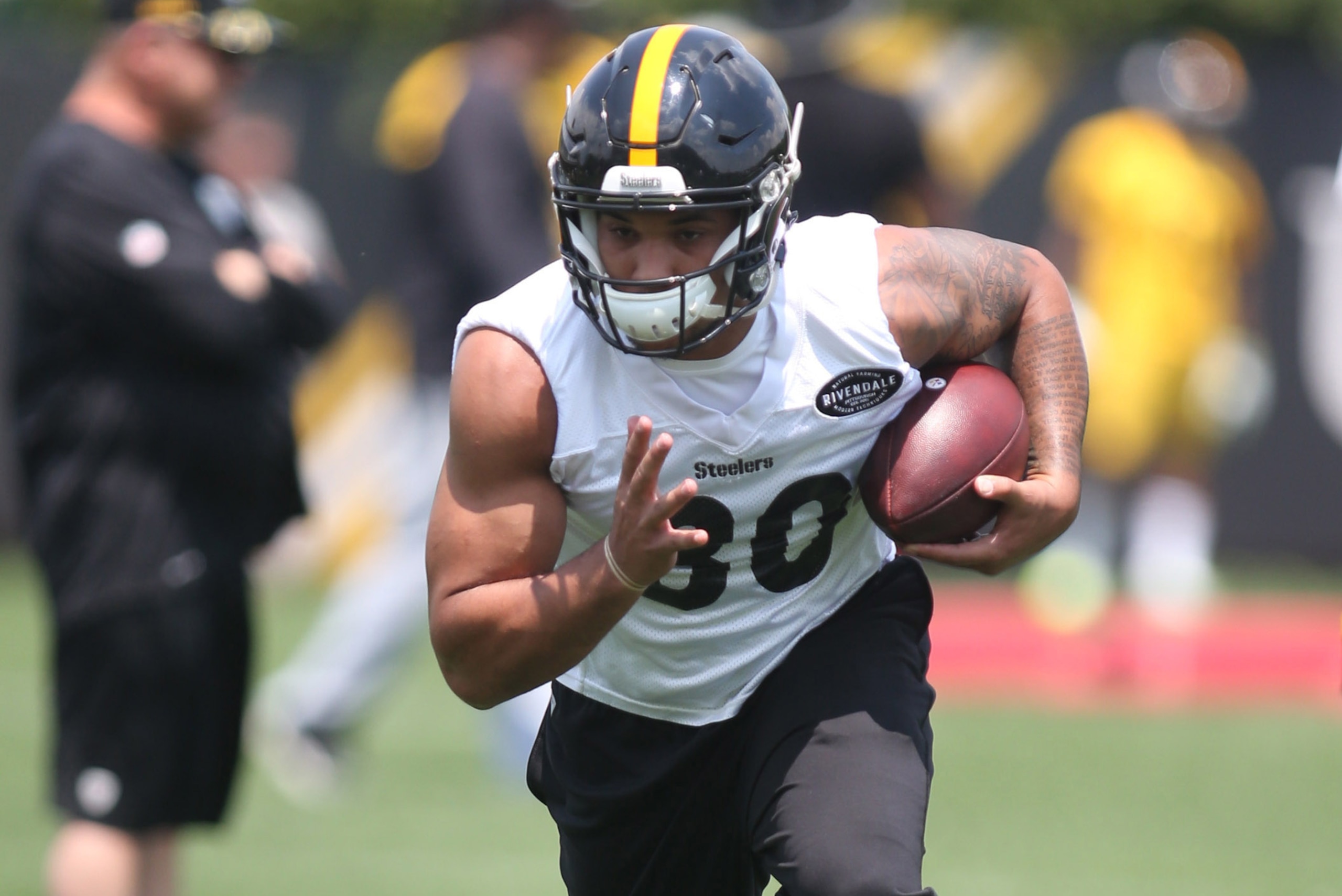 Rookie running back James Conner will have a role to play in Pittsburgh's offense this year, but how big a role?