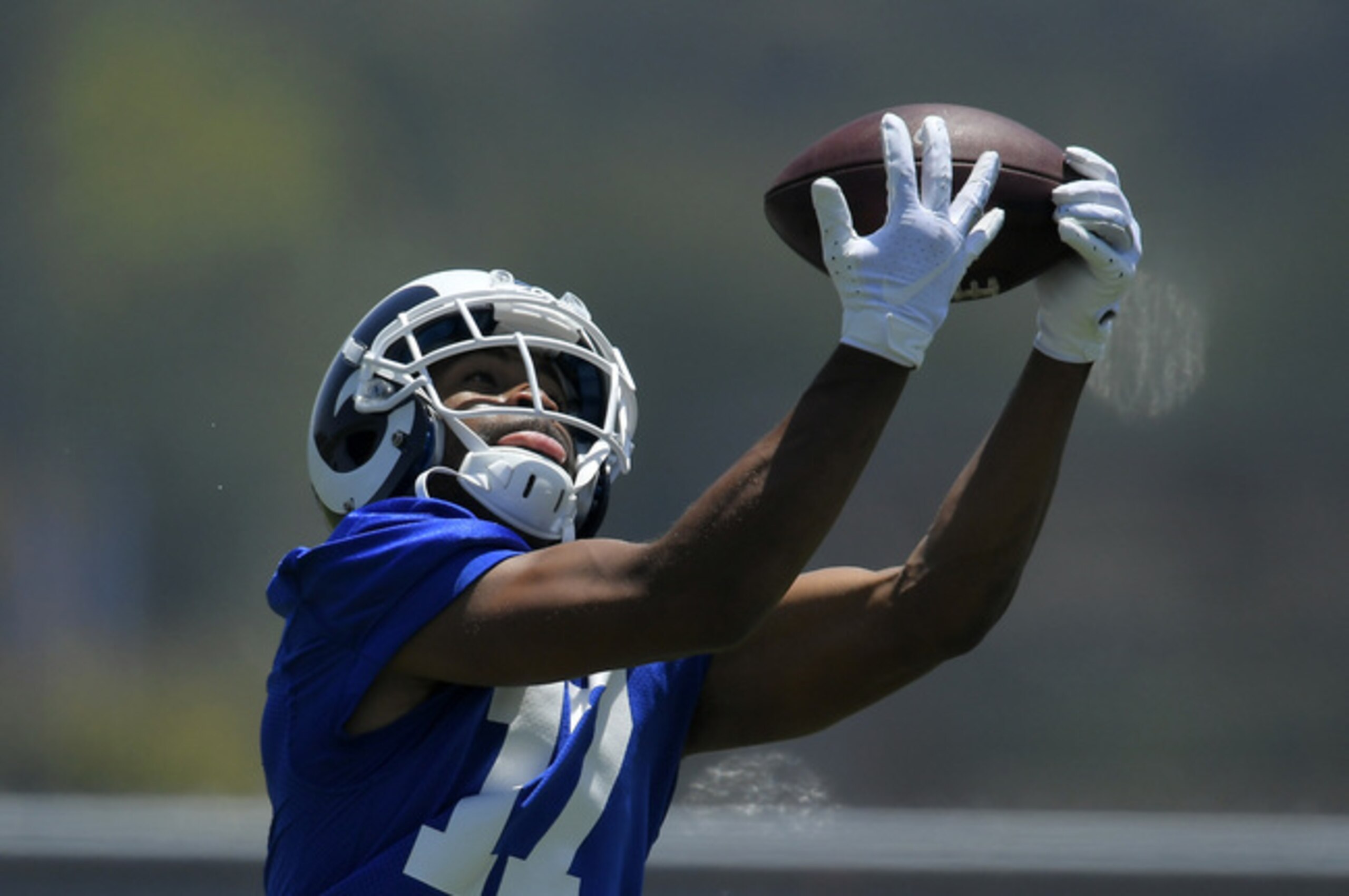 Robert Woods