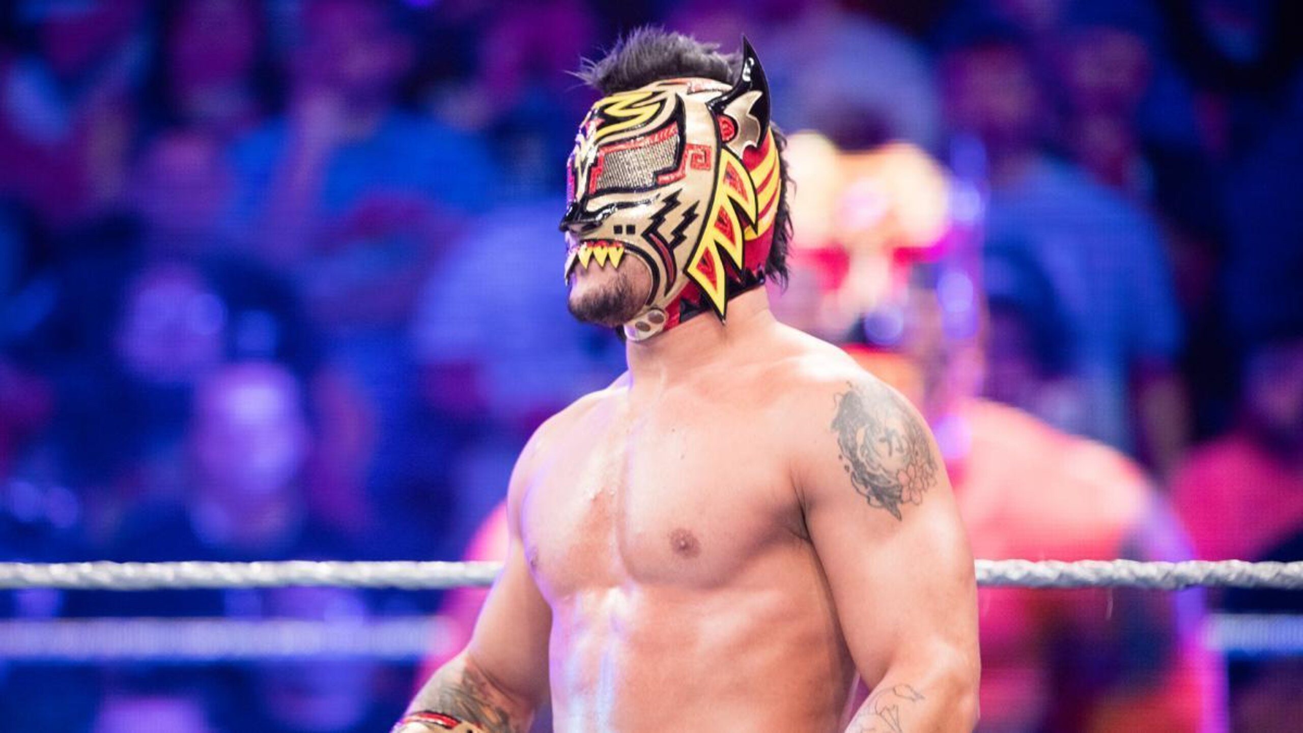 The Masked Marvel Lince Dorado