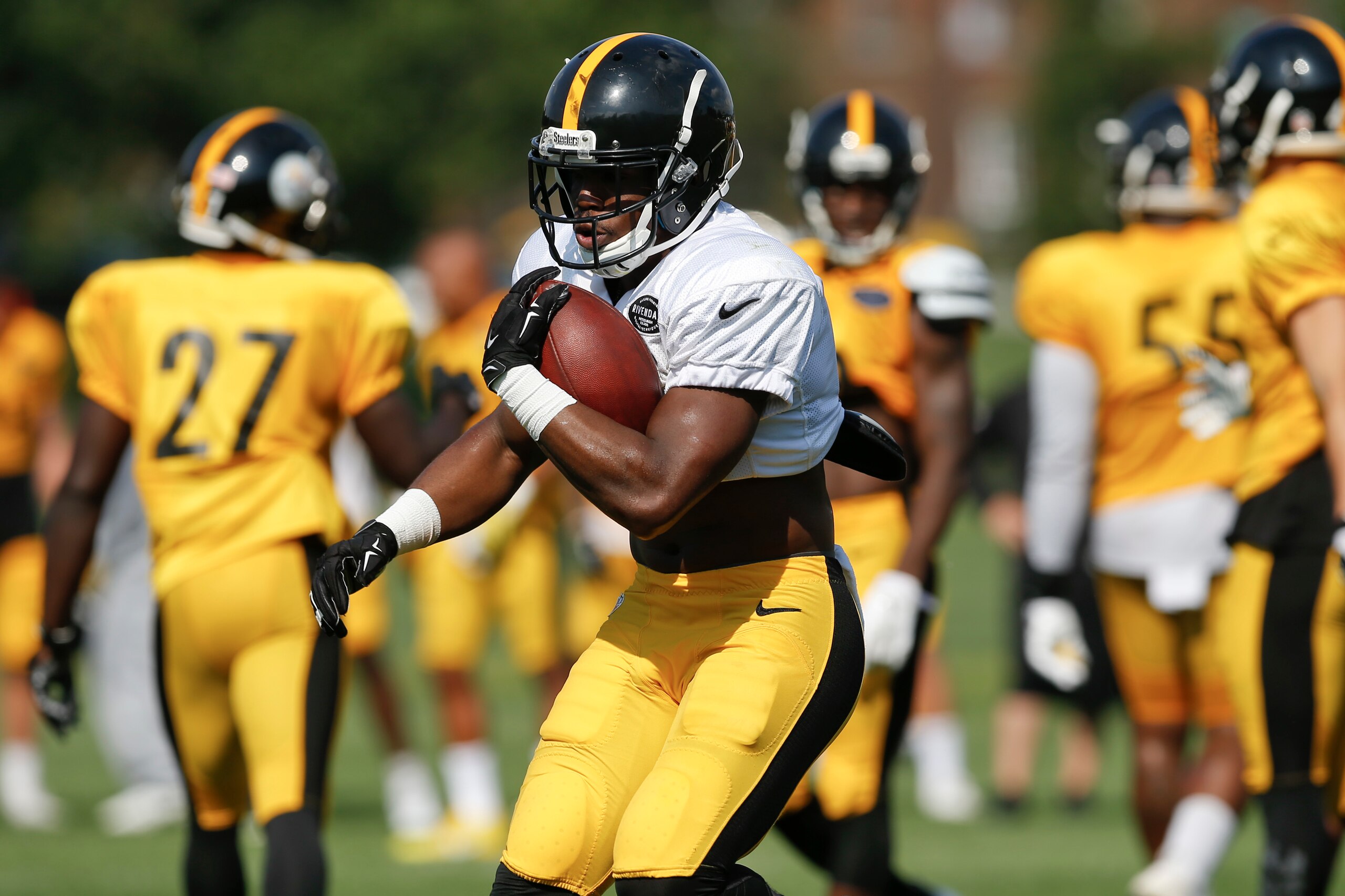 The Steelers opened training camp last Friday. What work lies ahead?