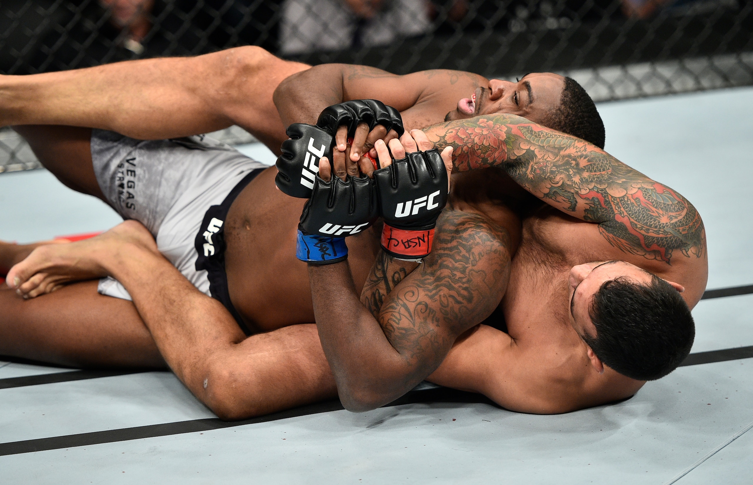 Walt Harris (left) and Fabricio Werdum (right)