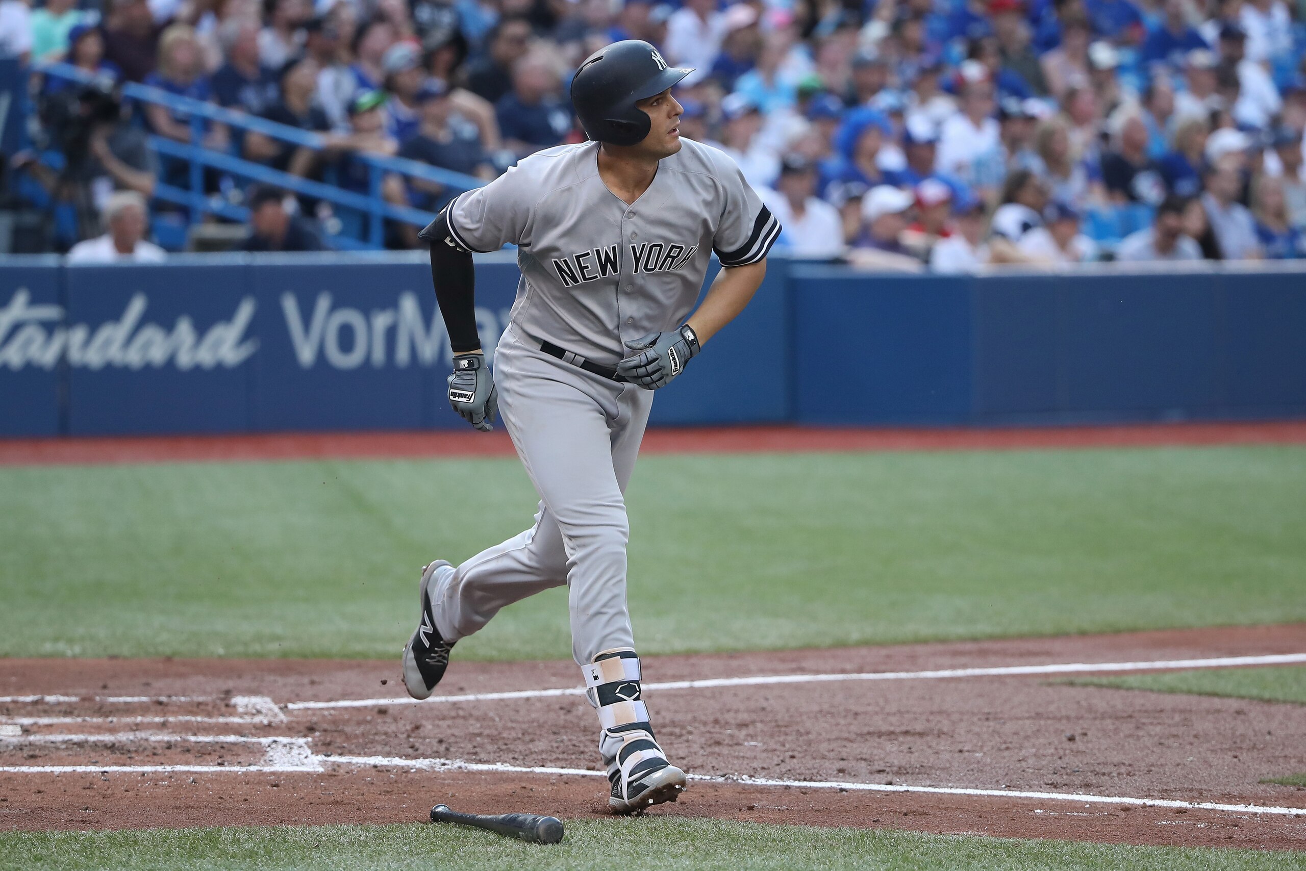 A returning Greg Bird gives the New York Yankees another big power bat with immense home run upside.