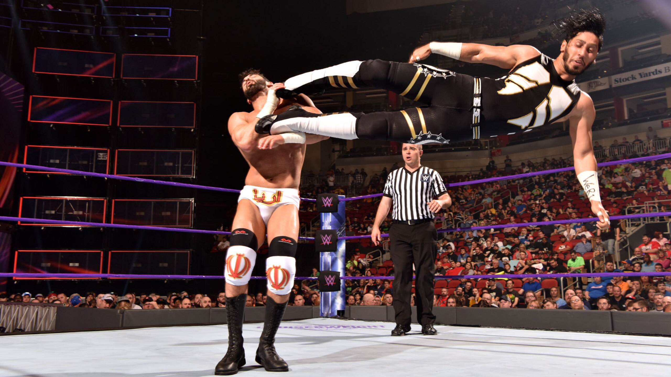 Ali and Daivari have been feuding on and off for months.