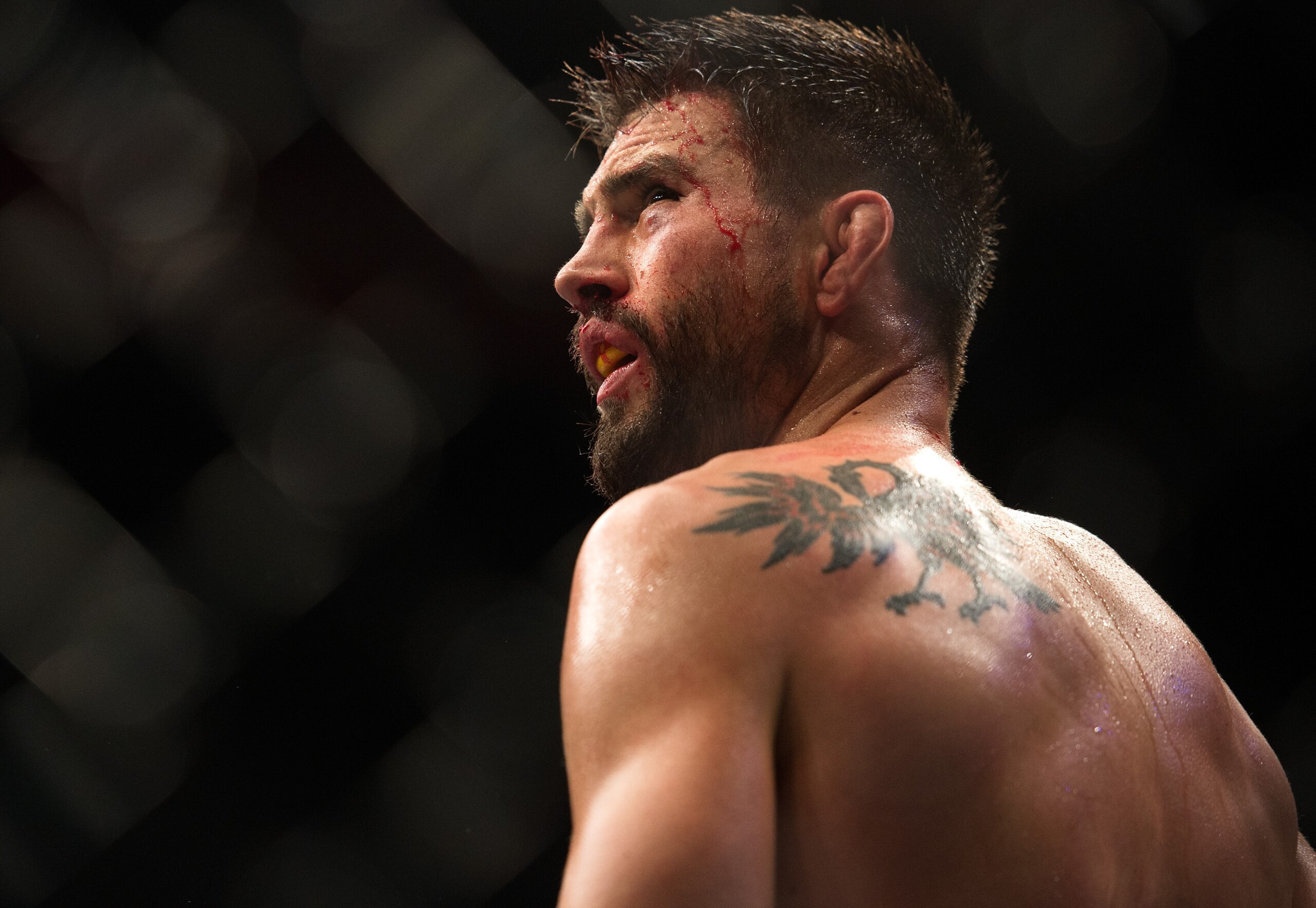Carlos Condit is back after a yearlong hiatus.