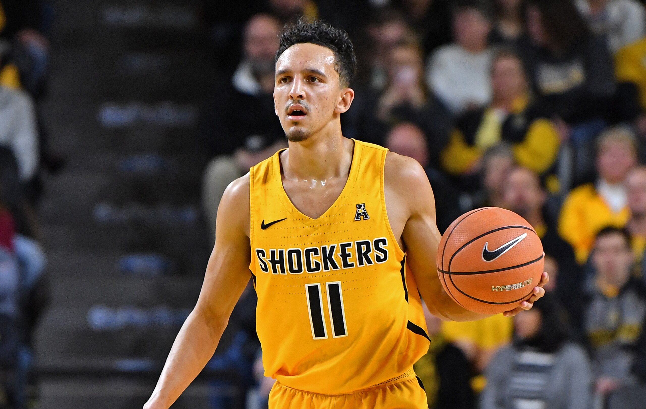 Landry Shamet